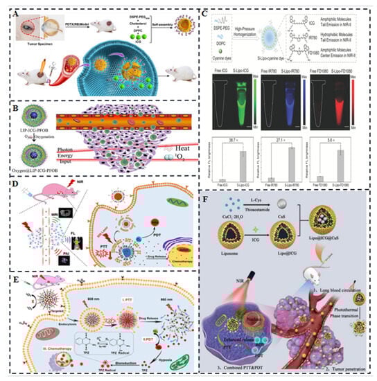 Molecules 28 06085 g005