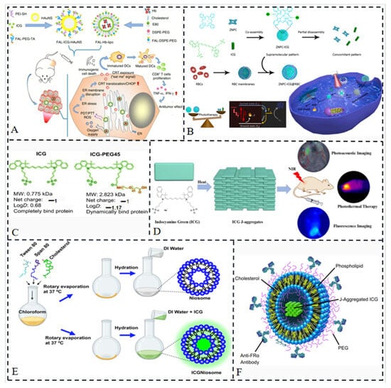 Molecules 28 06085 g009