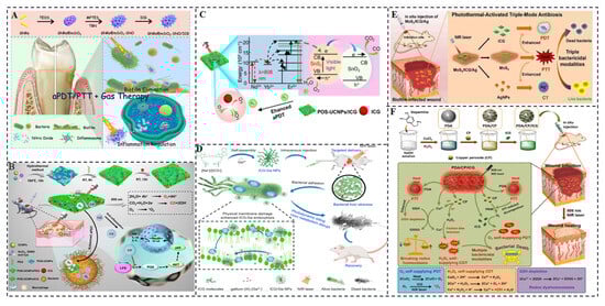 Molecules 28 06085 g010