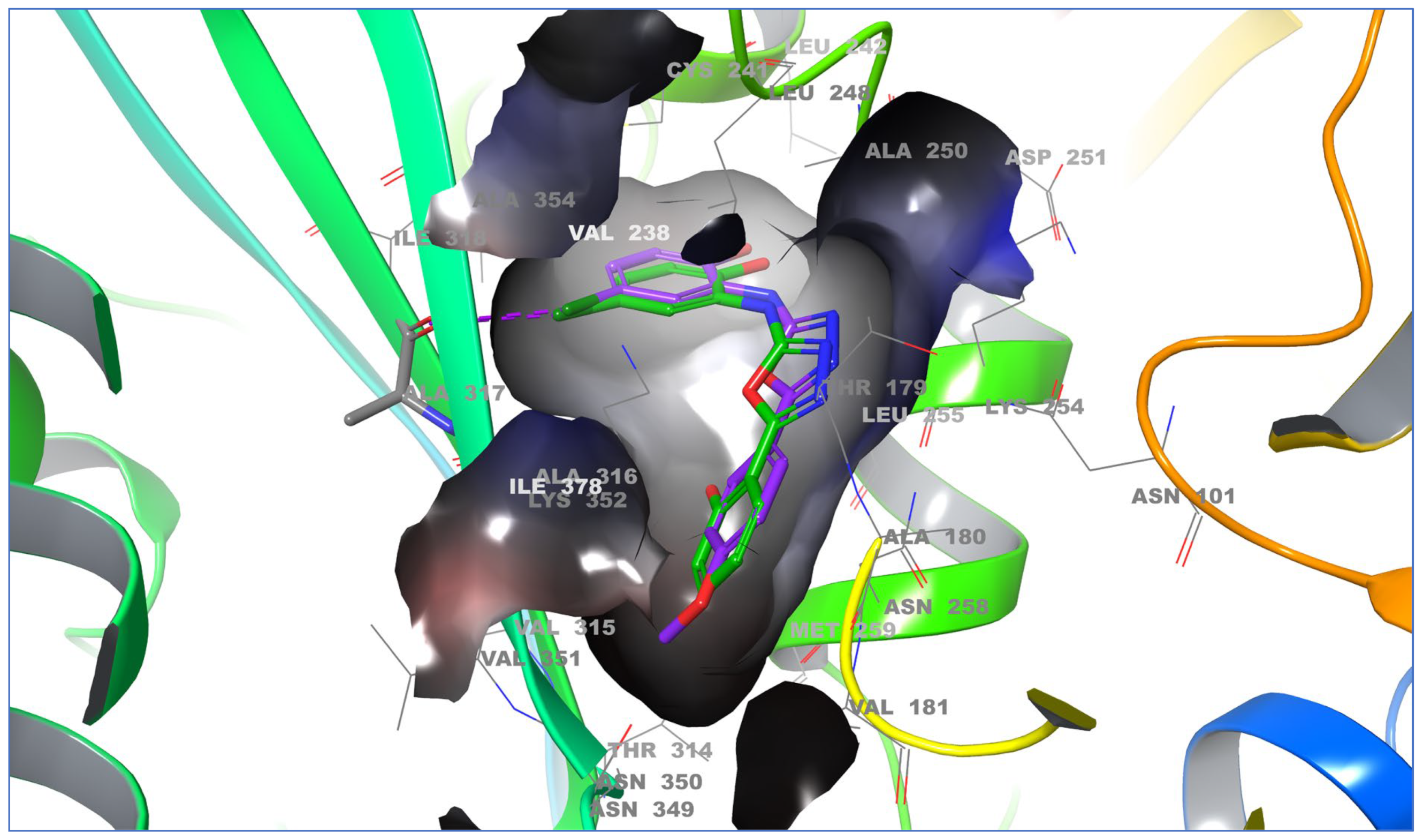 Molecules 28 06086 g004