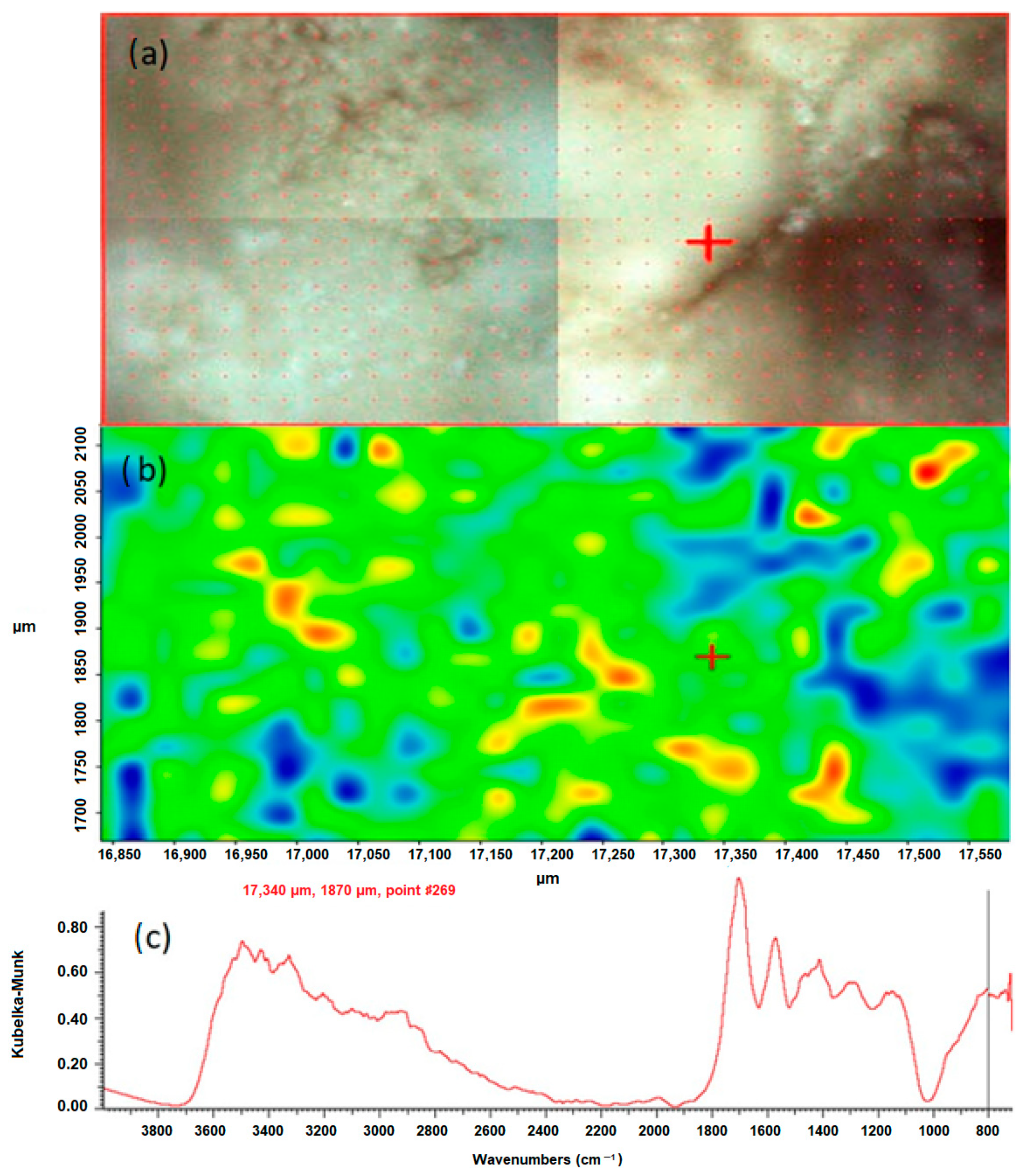 Molecules 28 06089 g003