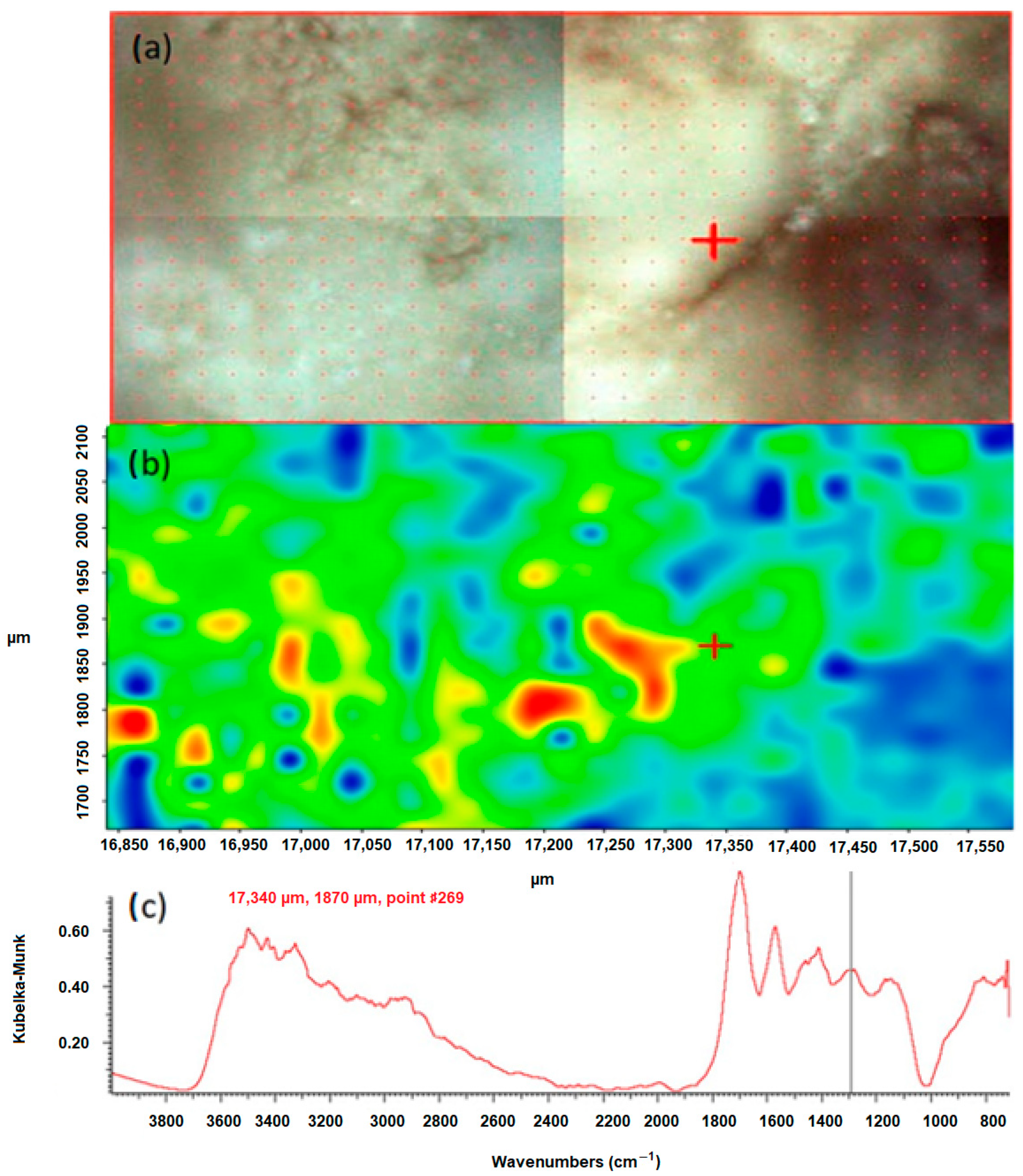 Molecules 28 06089 g004
