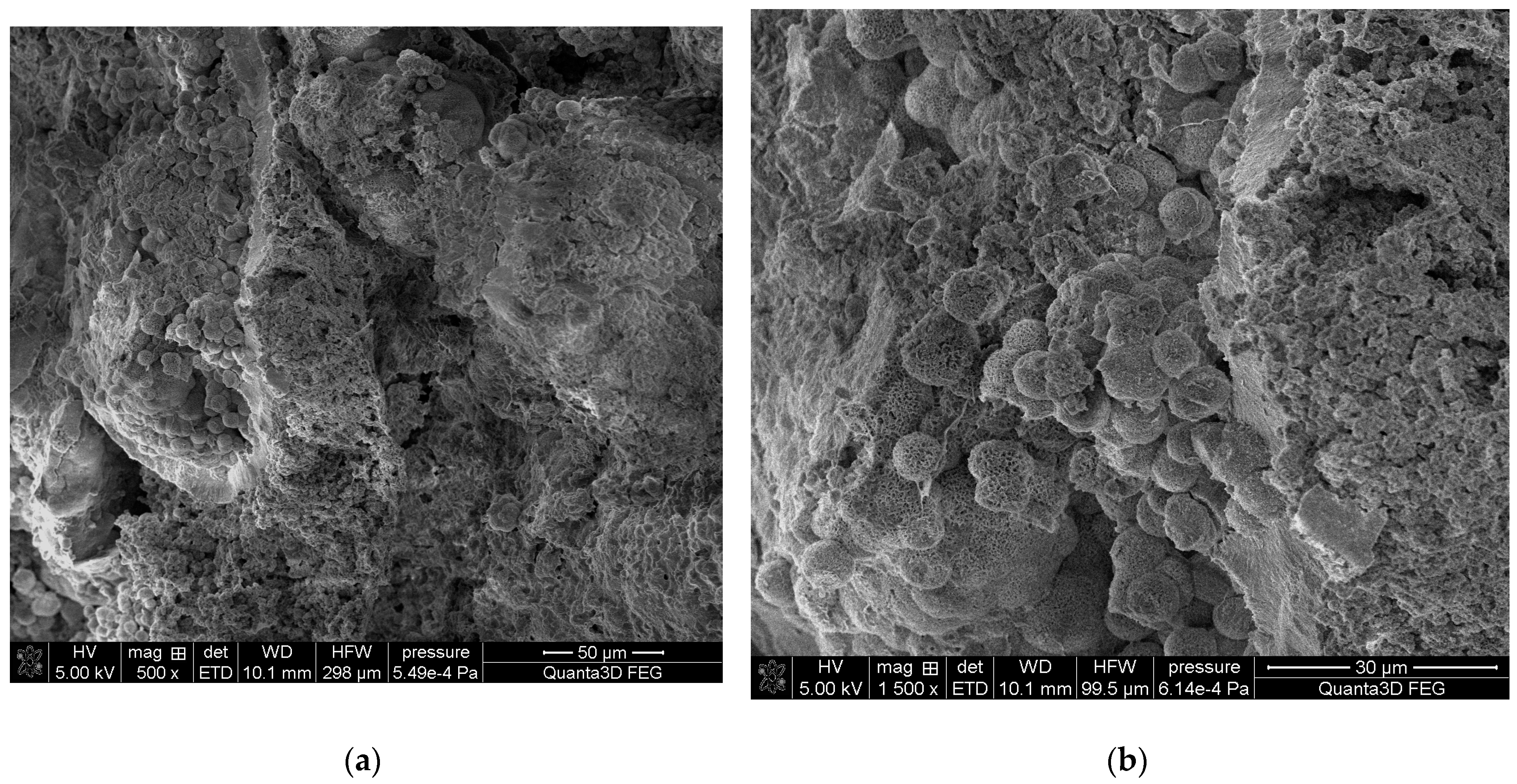 Molecules 28 06089 g008
