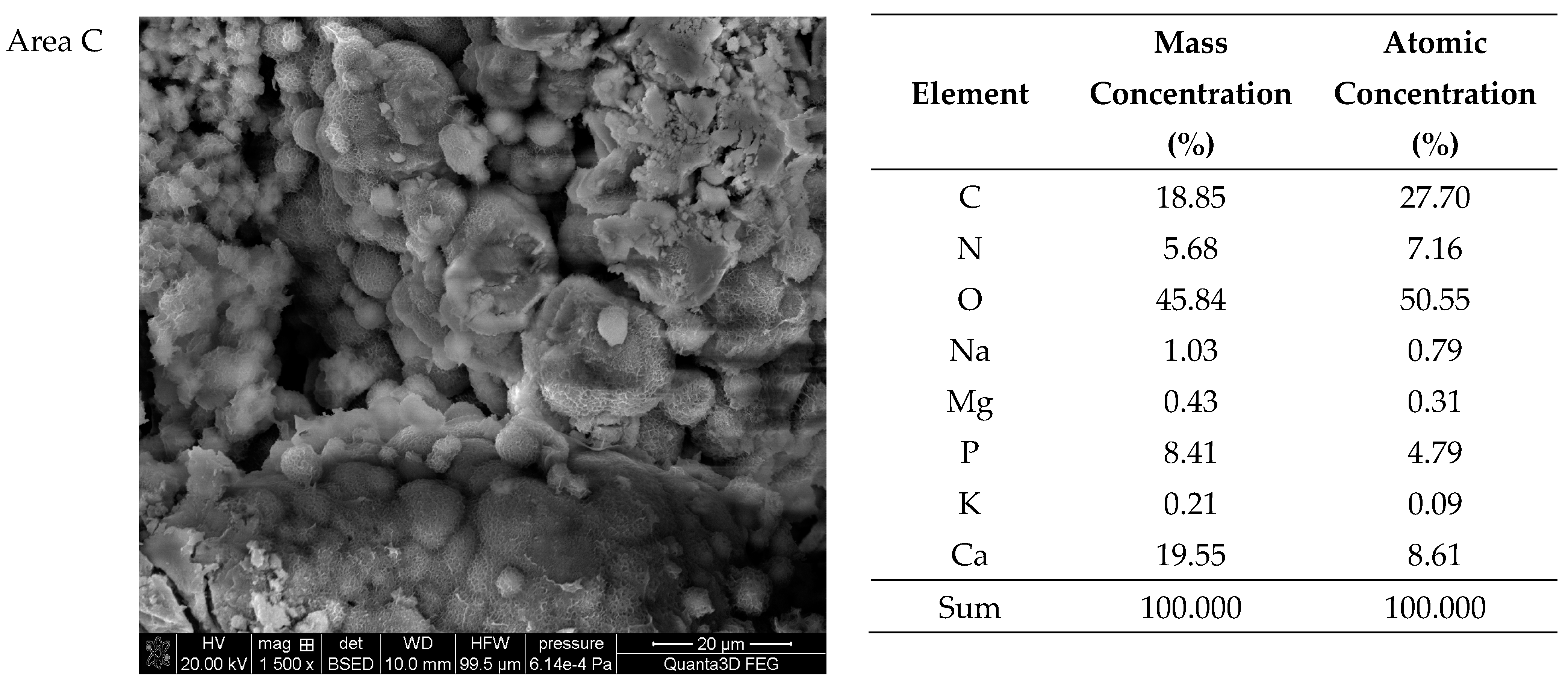 Molecules 28 06089 g009b