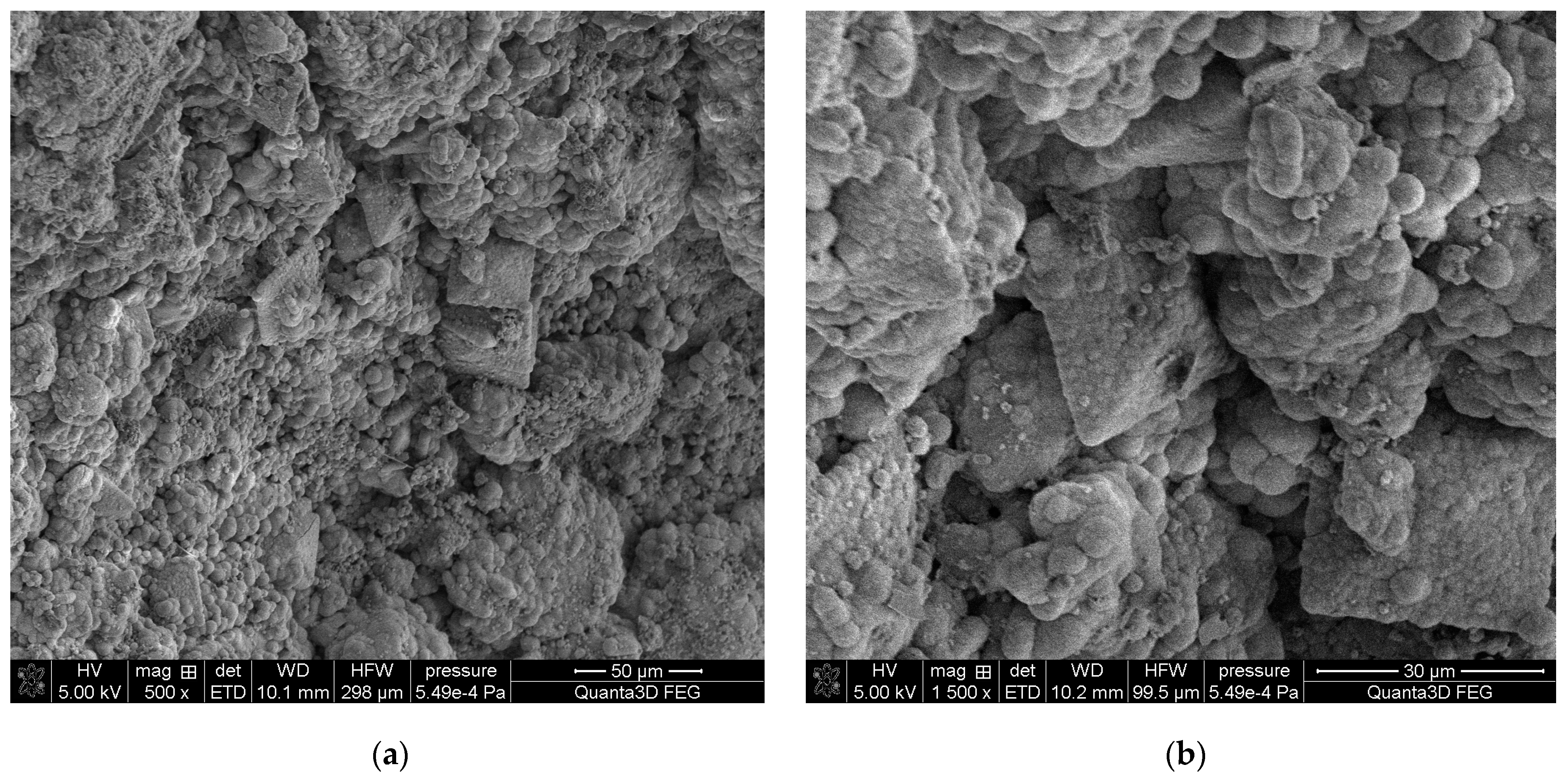 Molecules 28 06089 g010