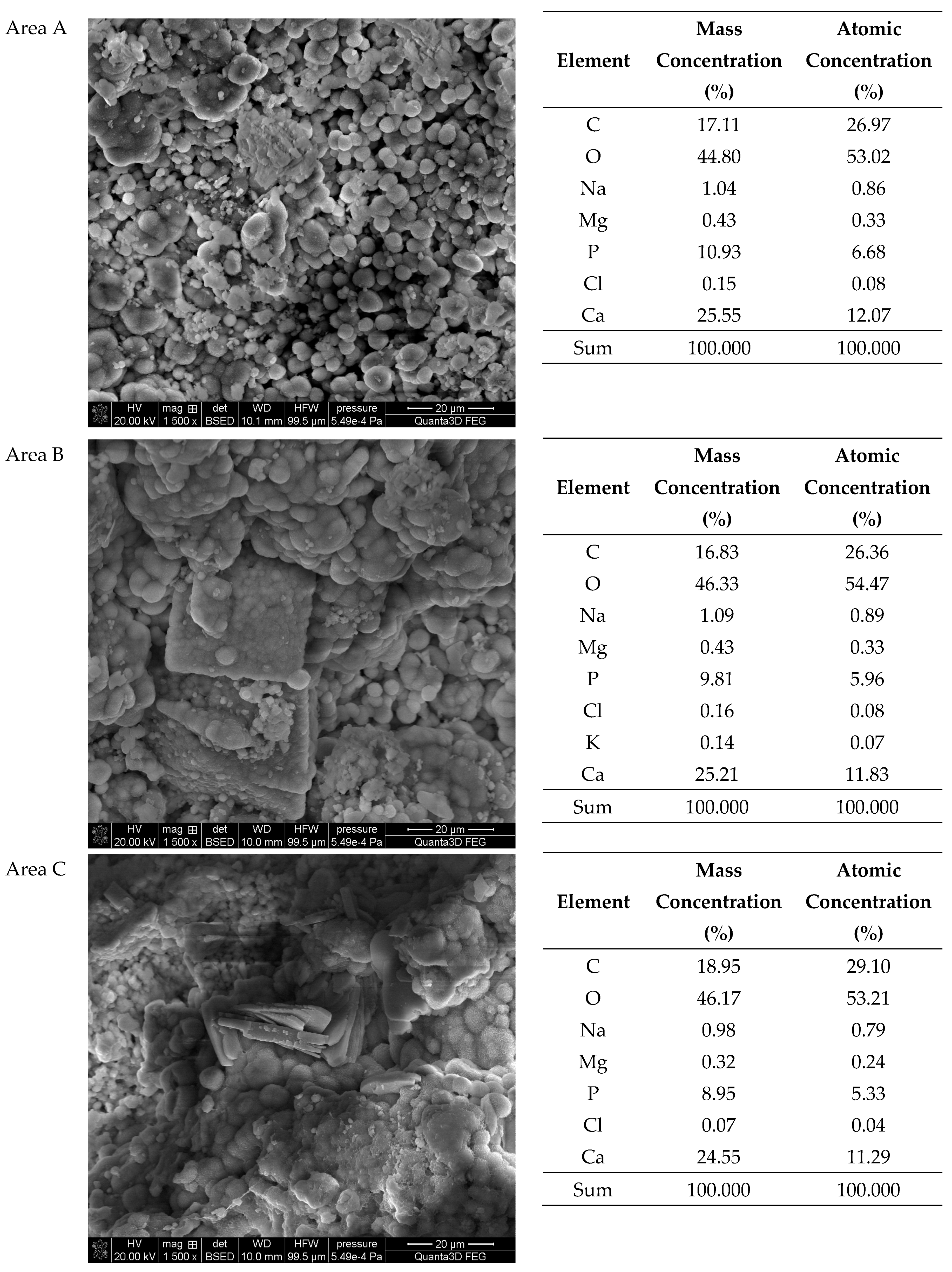 Molecules 28 06089 g011