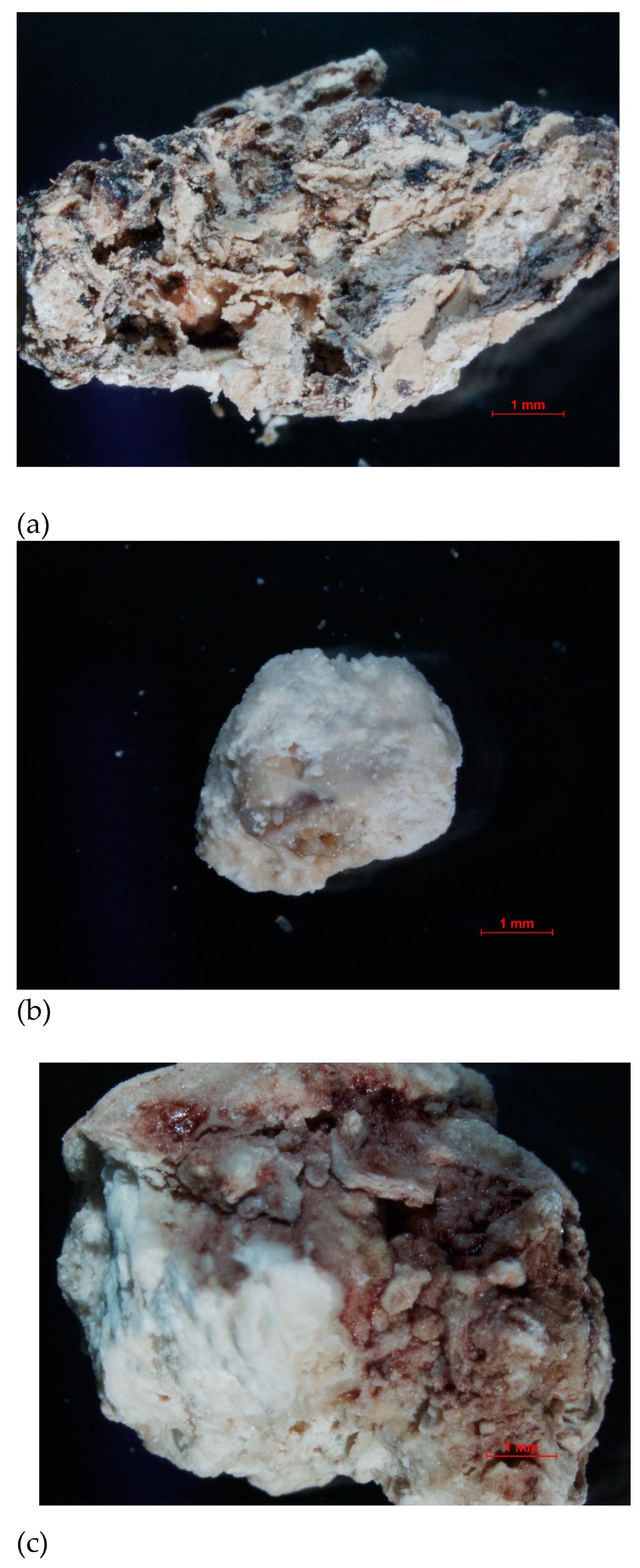 Molecules 28 06089 g019