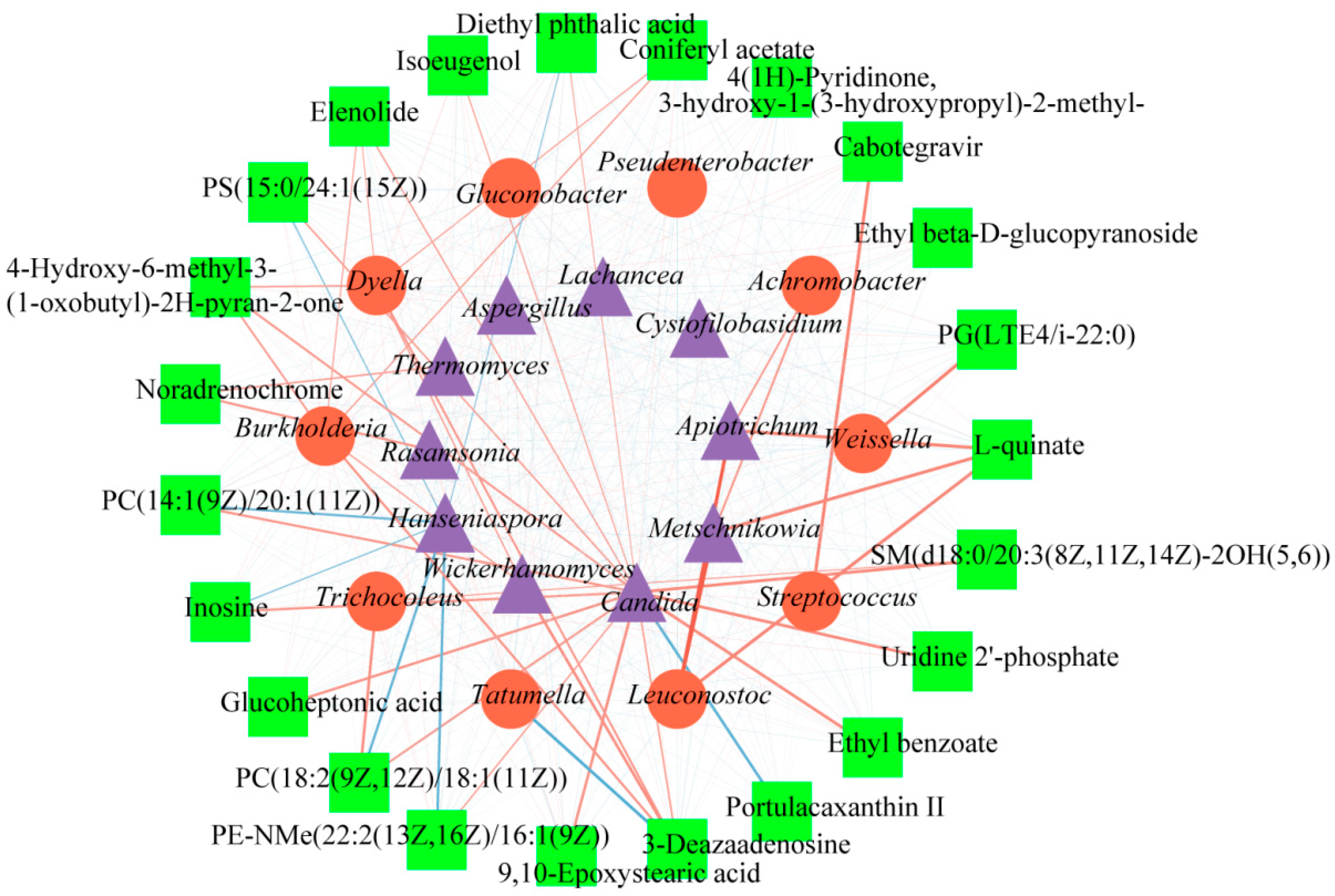 Molecules 28 06092 g006