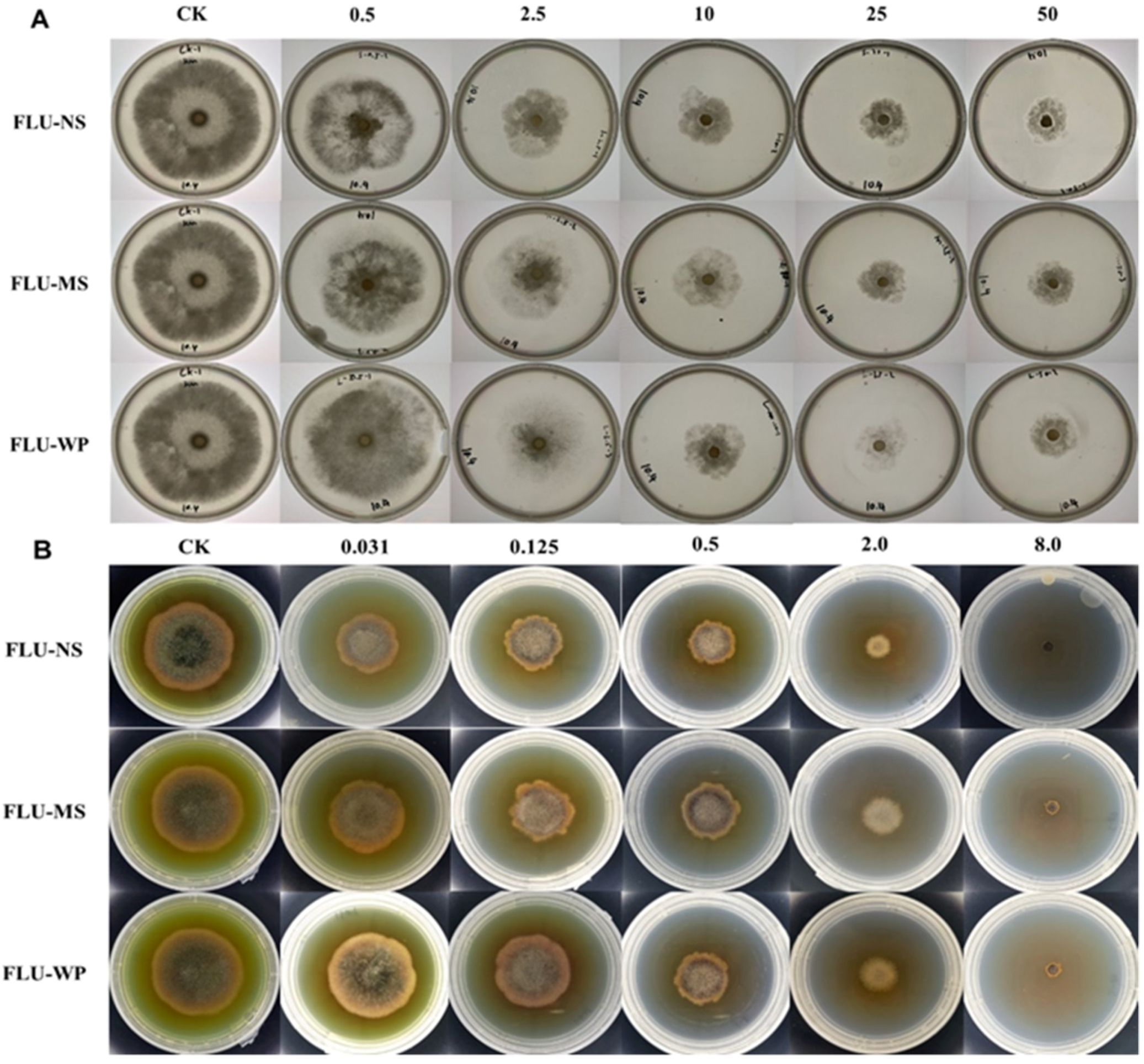 Molecules 28 06099 g007