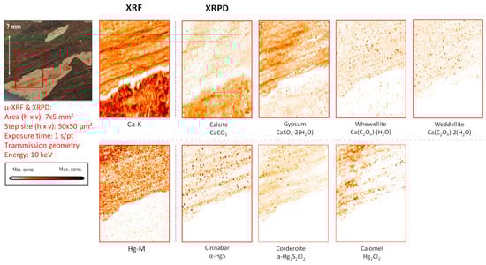 Molecules 28 06106 g004