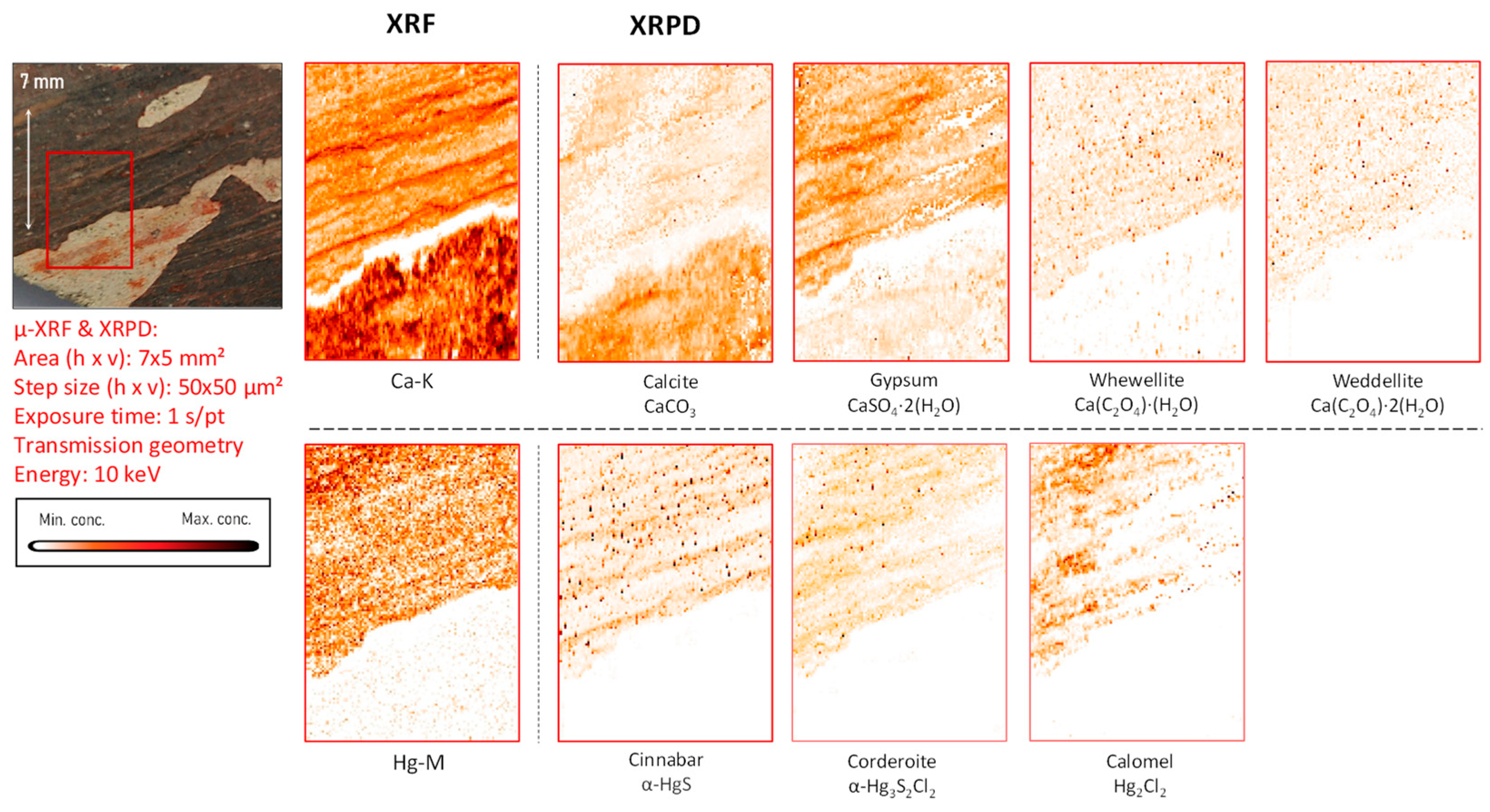 Molecules 28 06106 g004