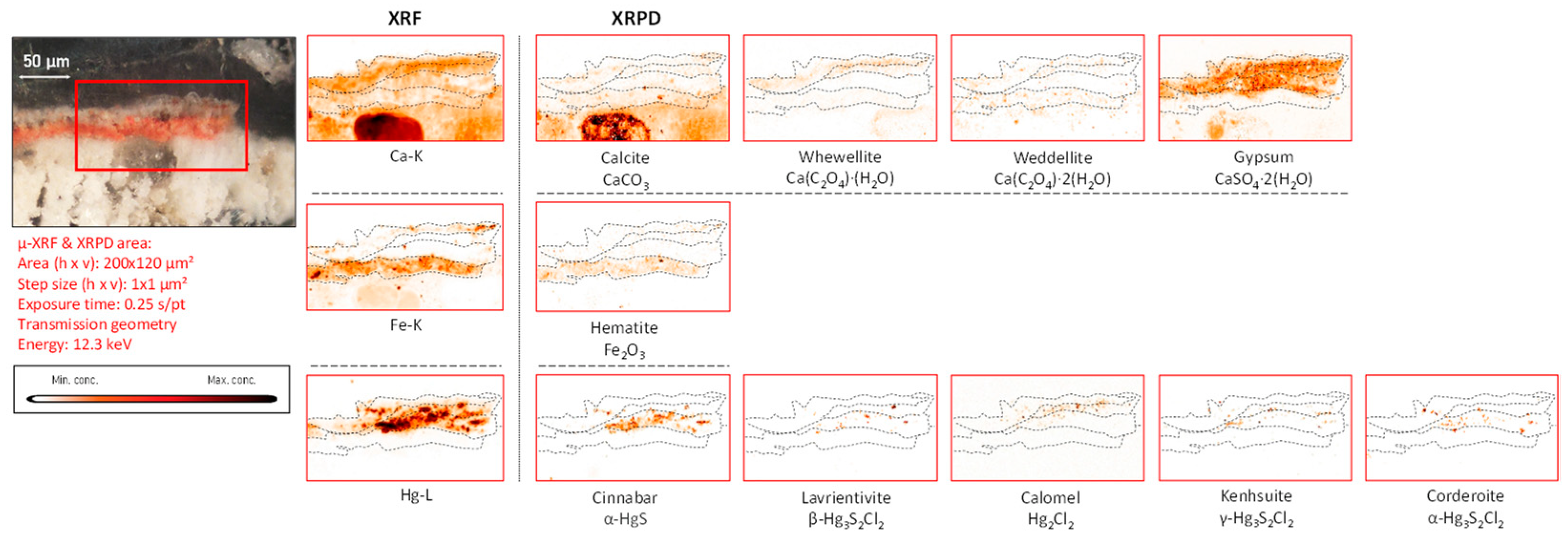 Molecules 28 06106 g005