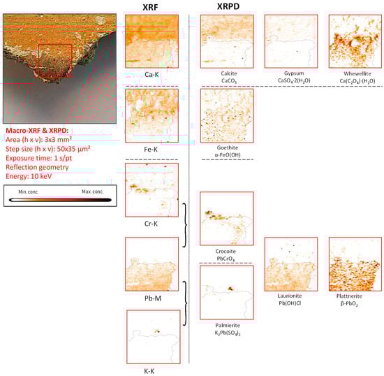 Molecules 28 06106 g006