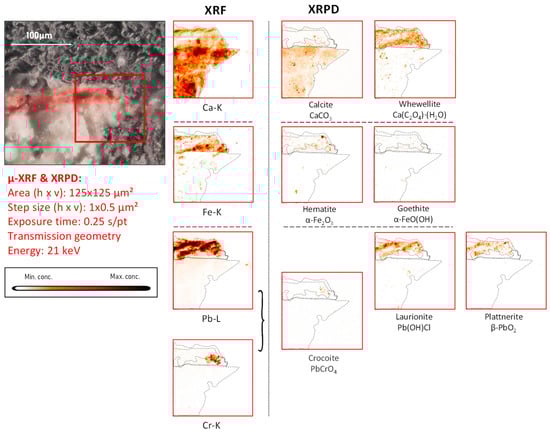 Molecules 28 06106 g007