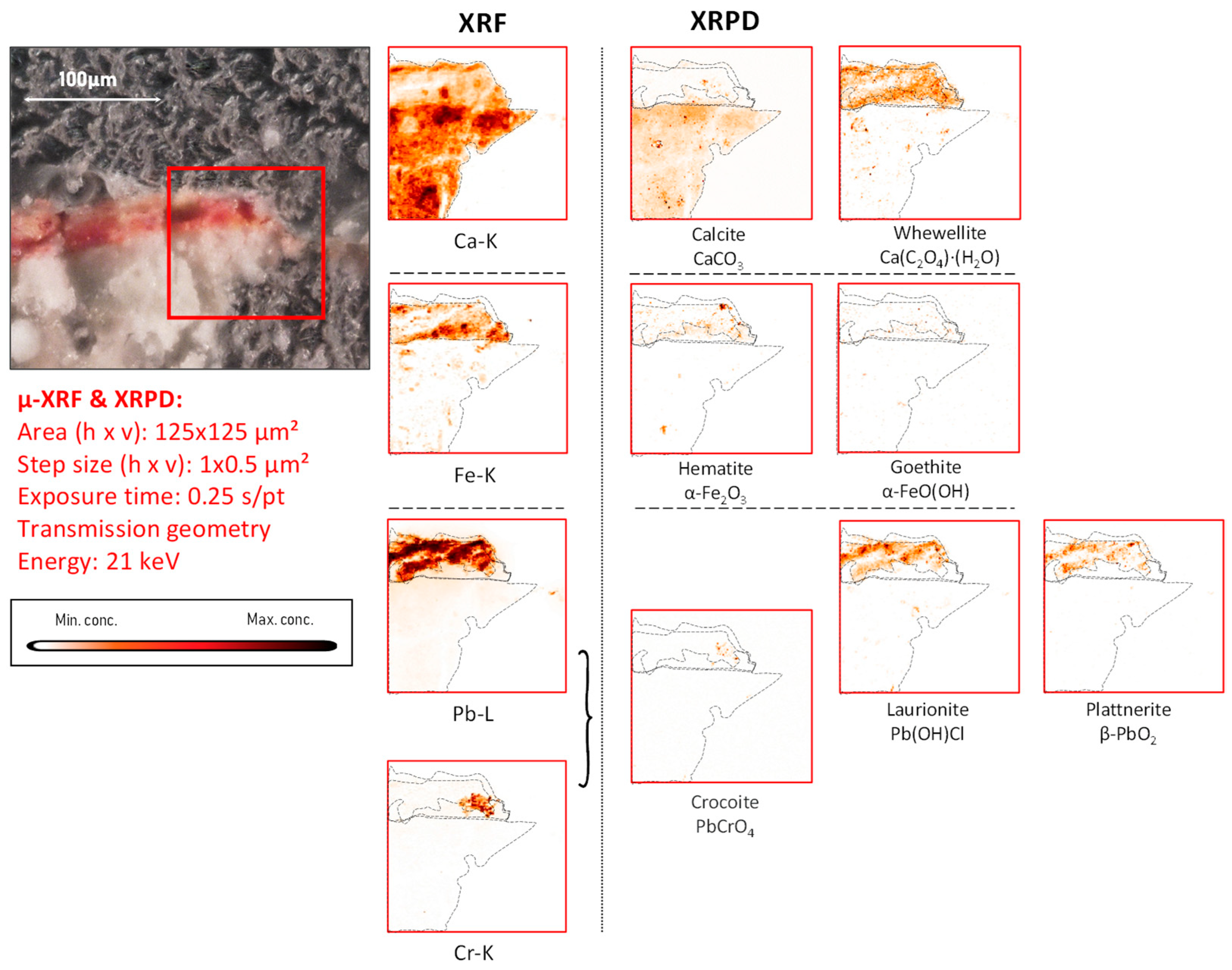 Molecules 28 06106 g007