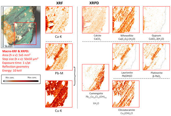 Molecules 28 06106 g008