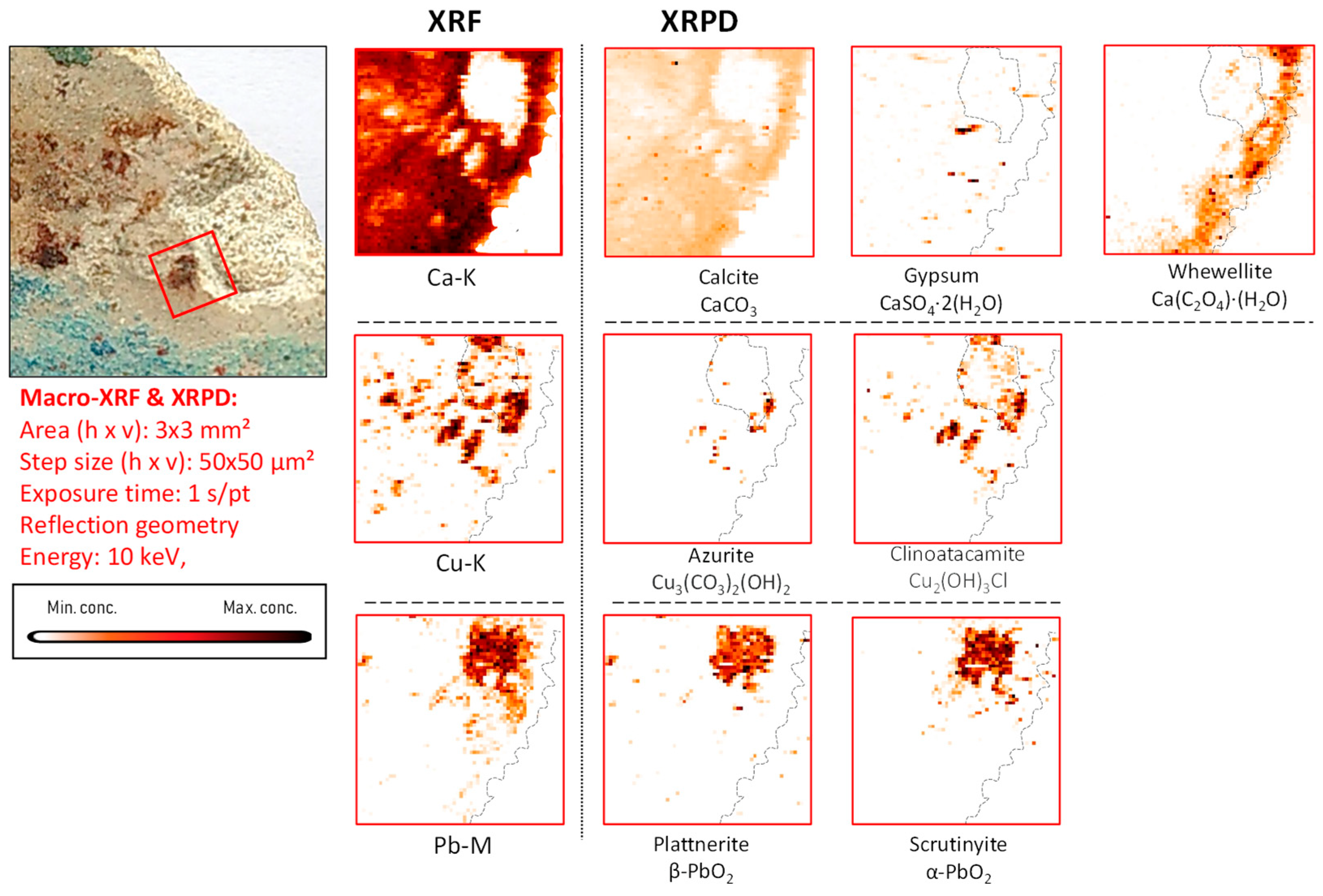 Molecules 28 06106 g010
