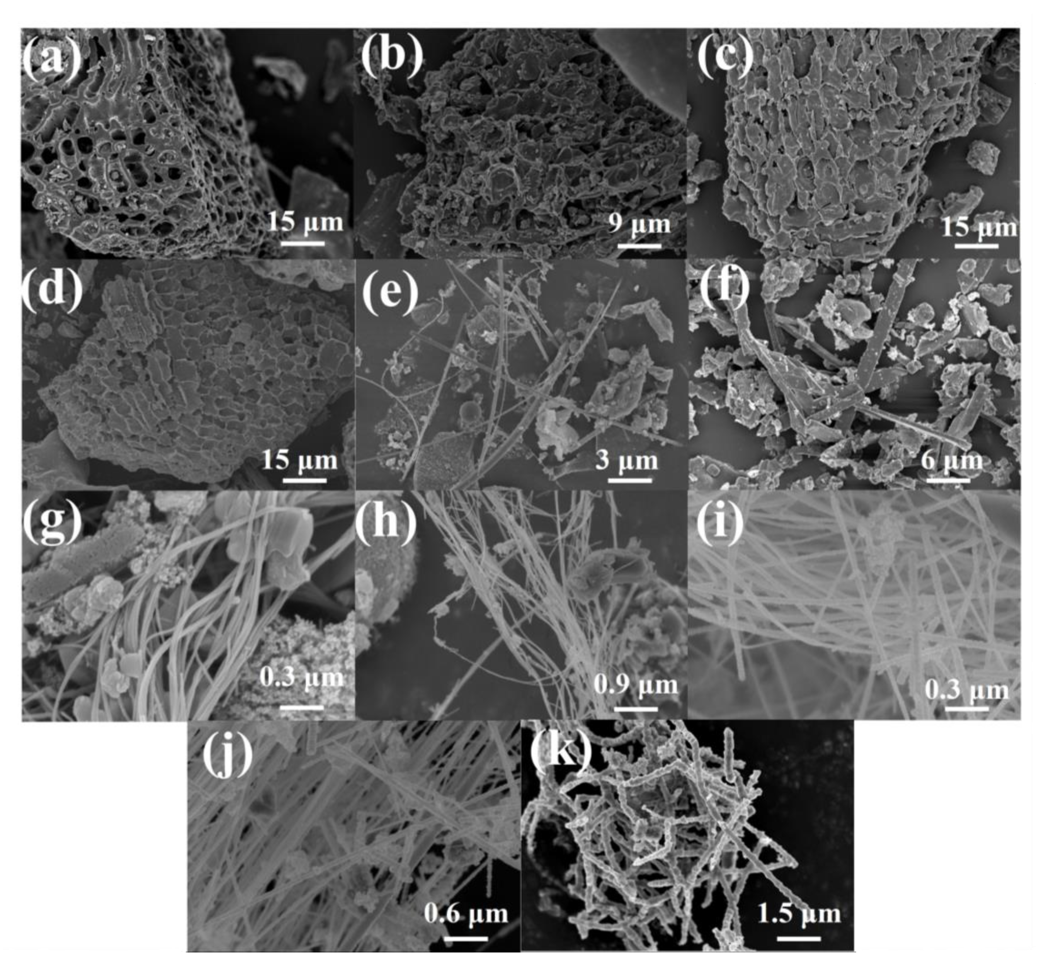 Molecules 28 06117 g001