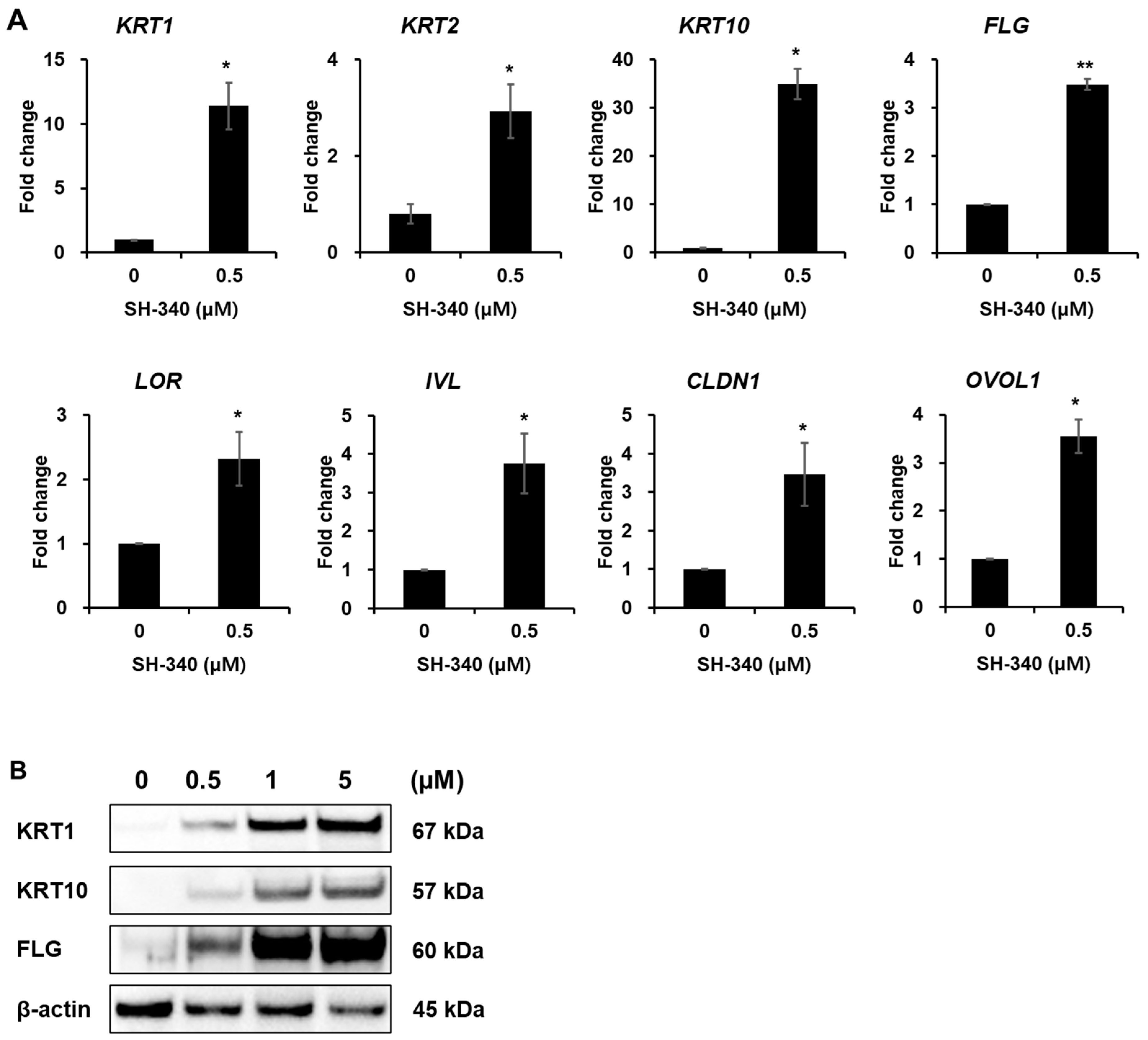 Molecules 28 06119 g003