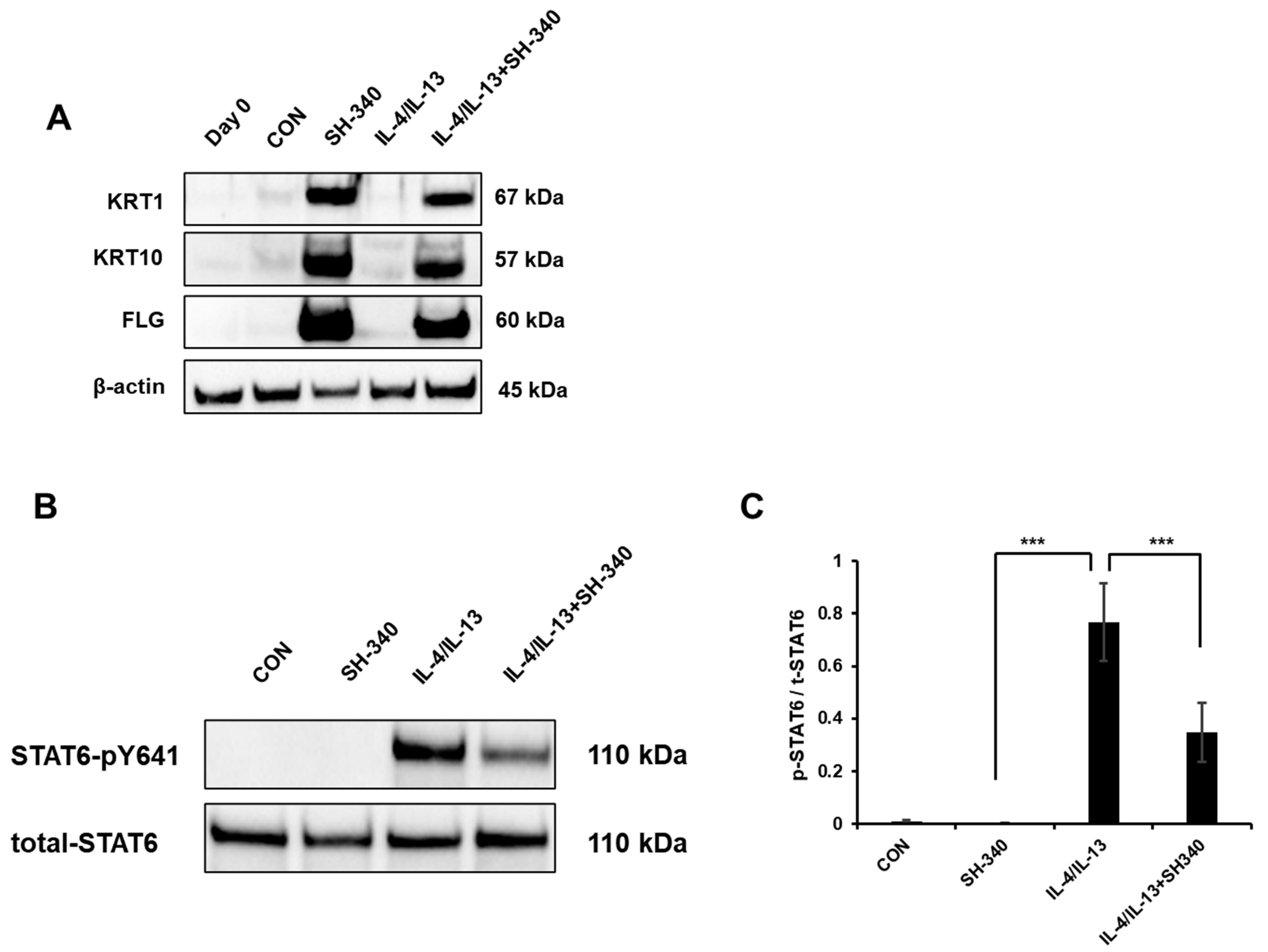 Molecules 28 06119 g004