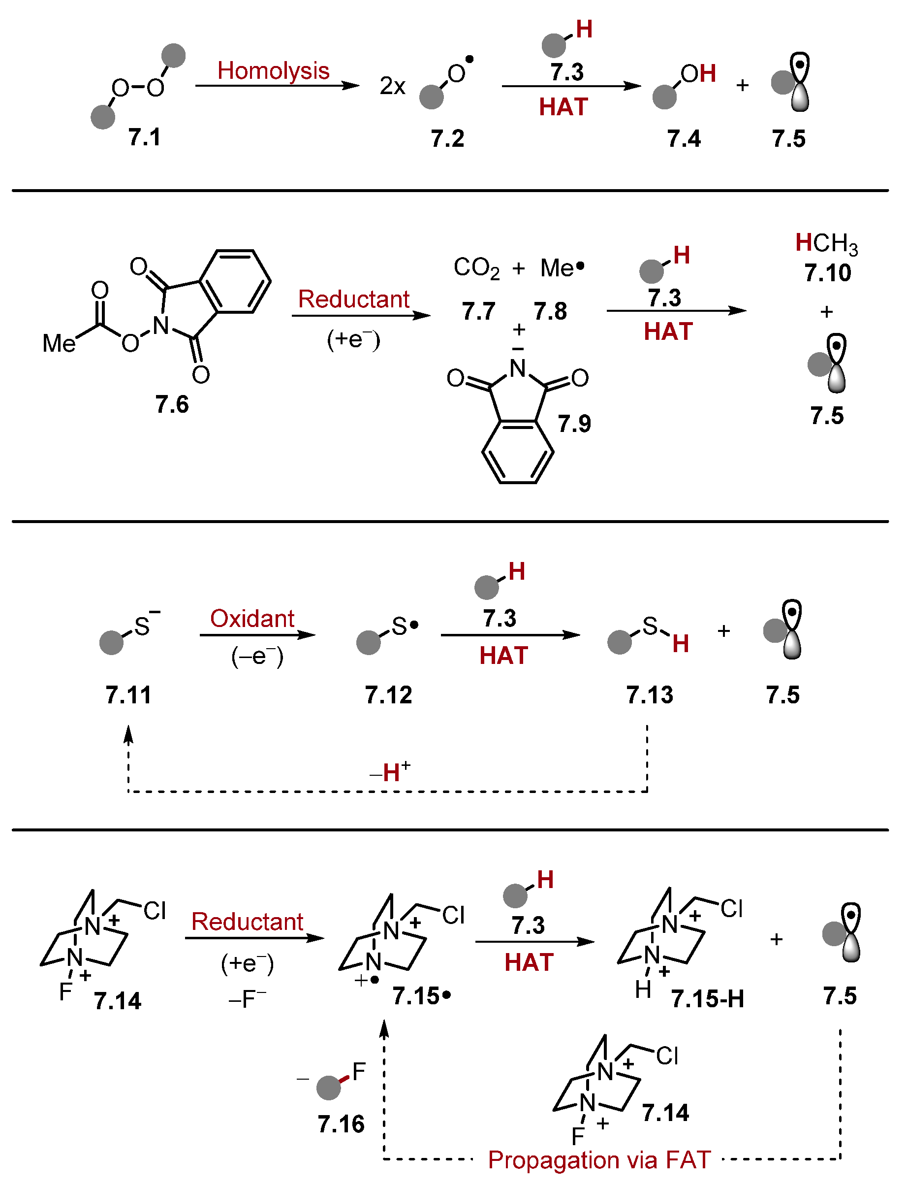 Molecules 28 06127 sch007