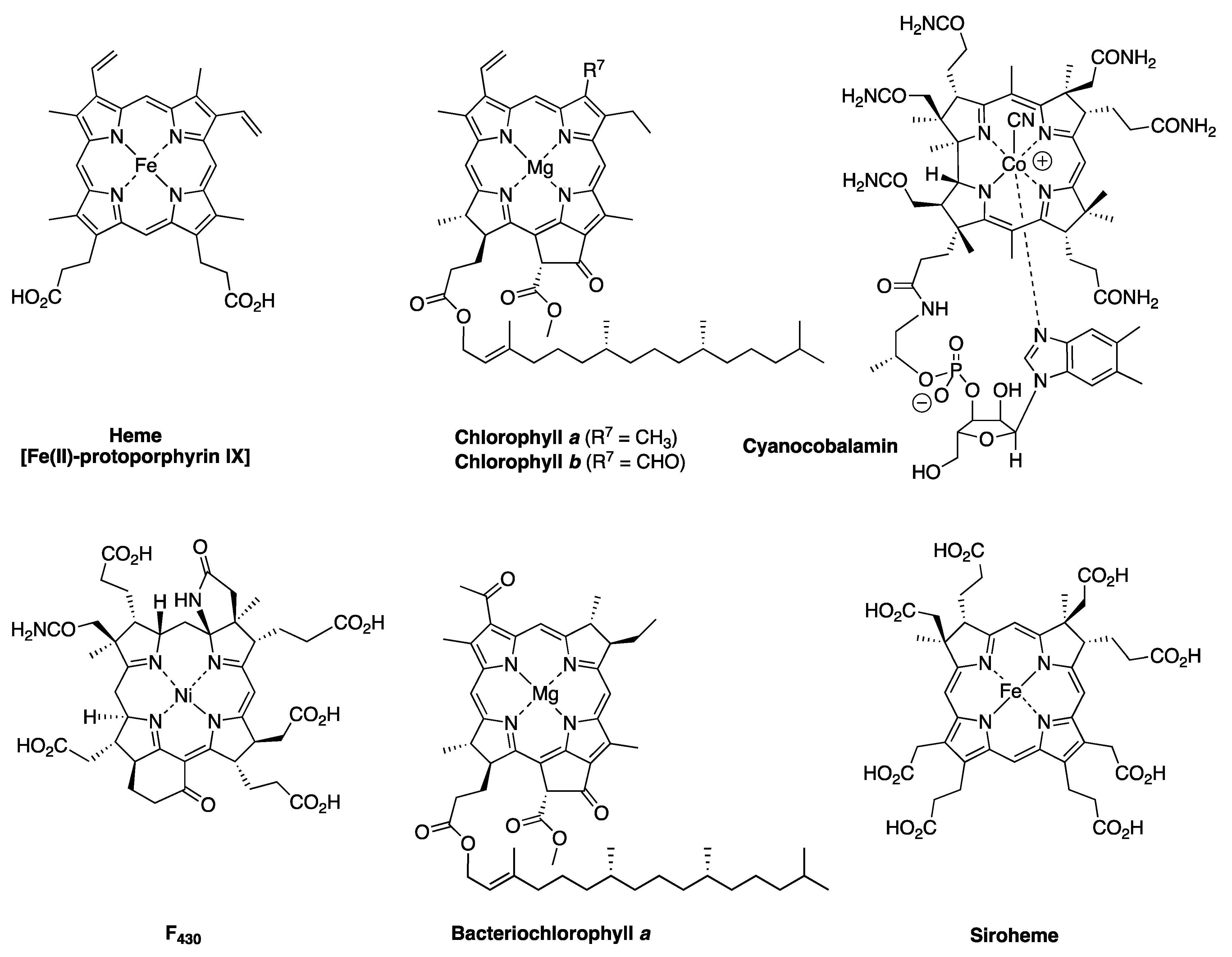 Molecules 28 06132 g001