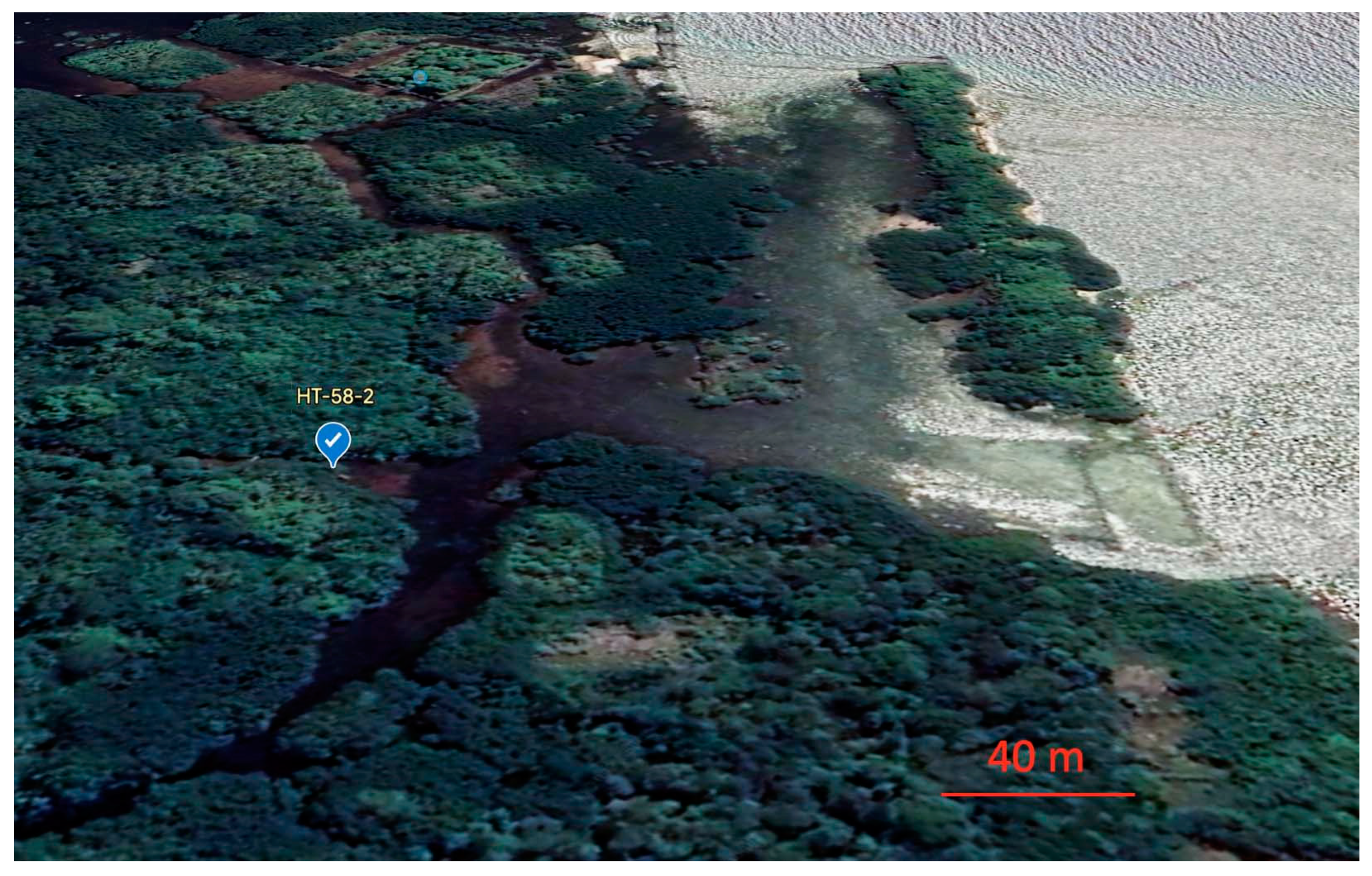 Molecules 28 06132 g004