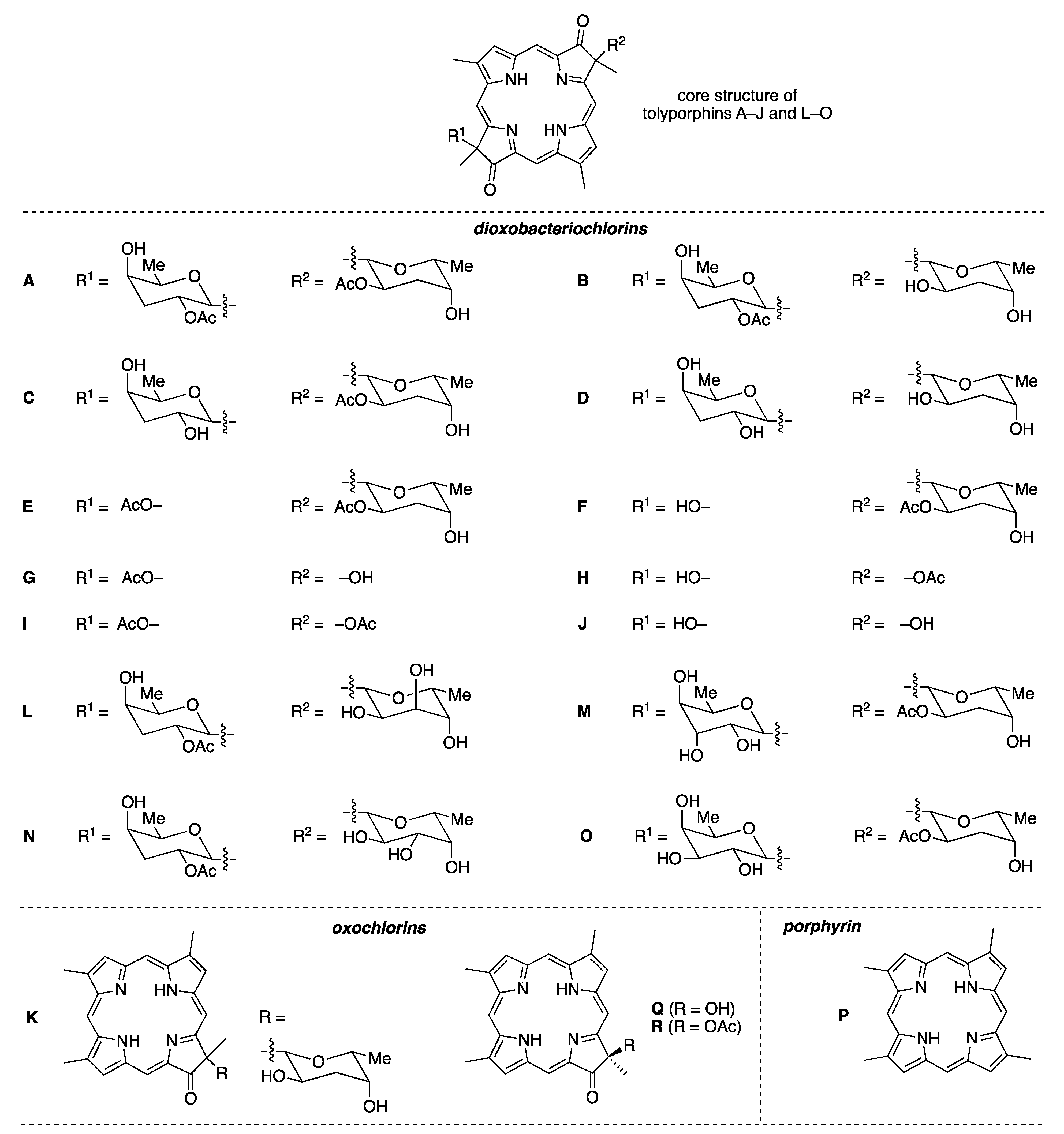 Molecules 28 06132 g006