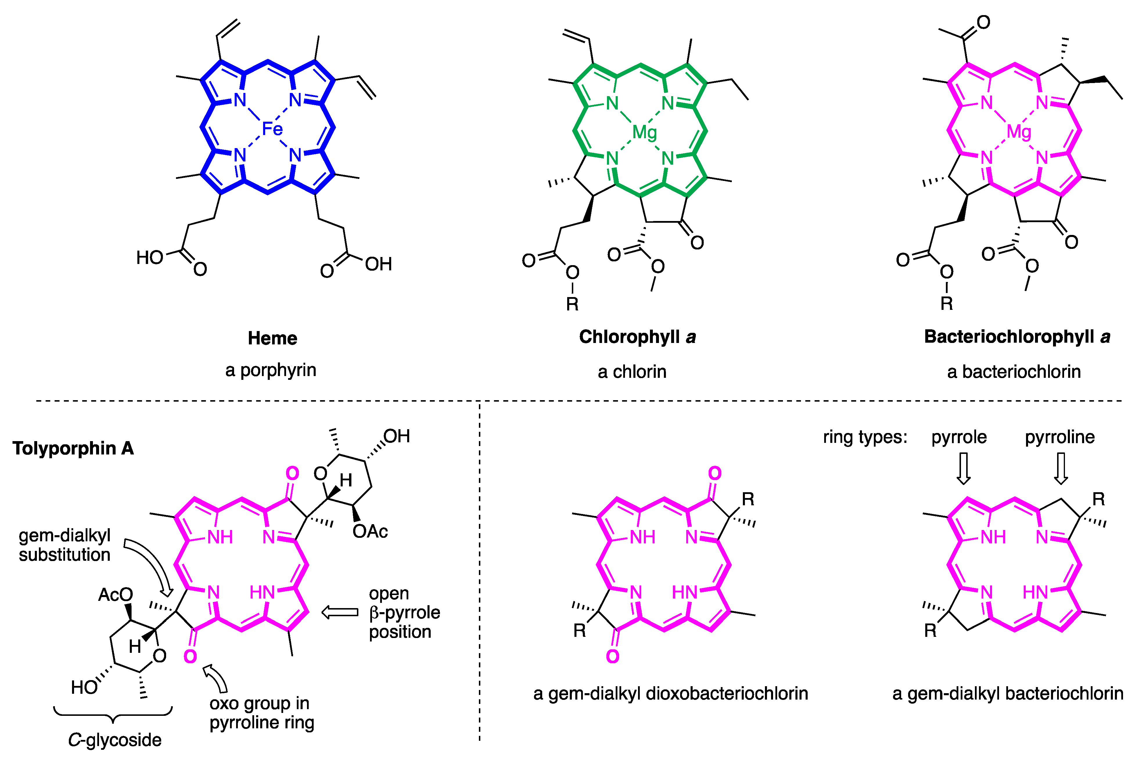 Molecules 28 06132 g007