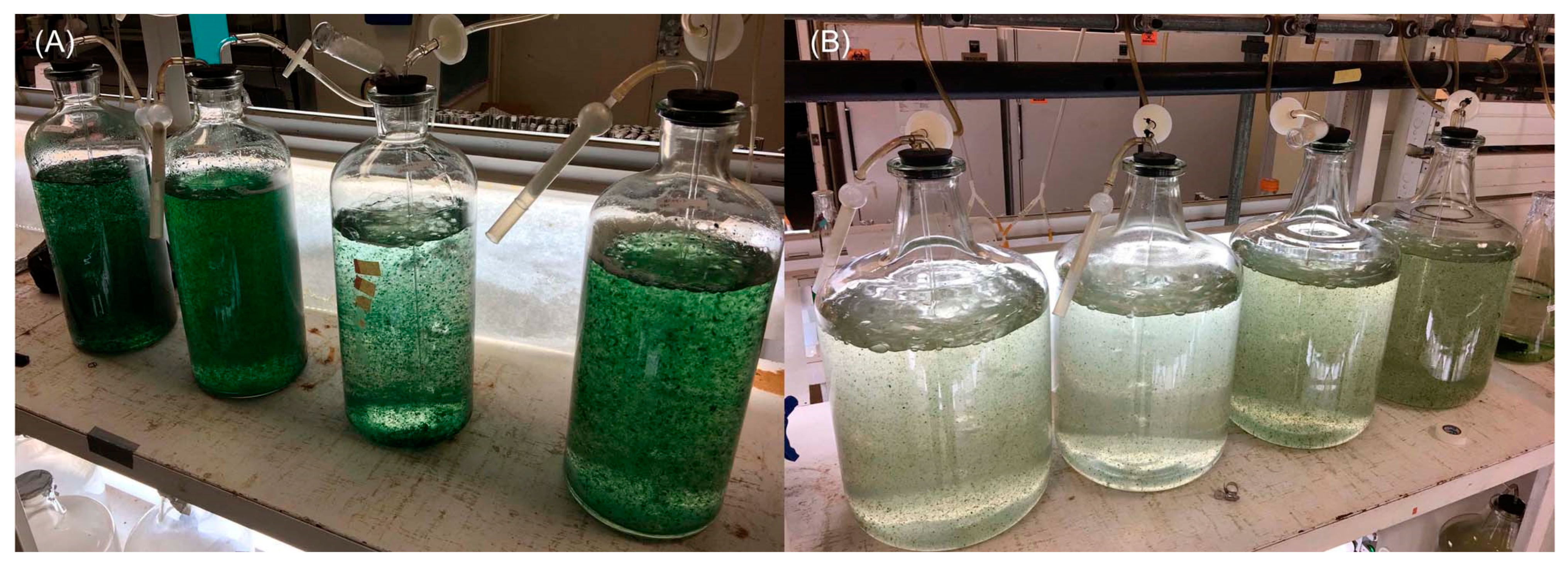 Molecules 28 06132 g009