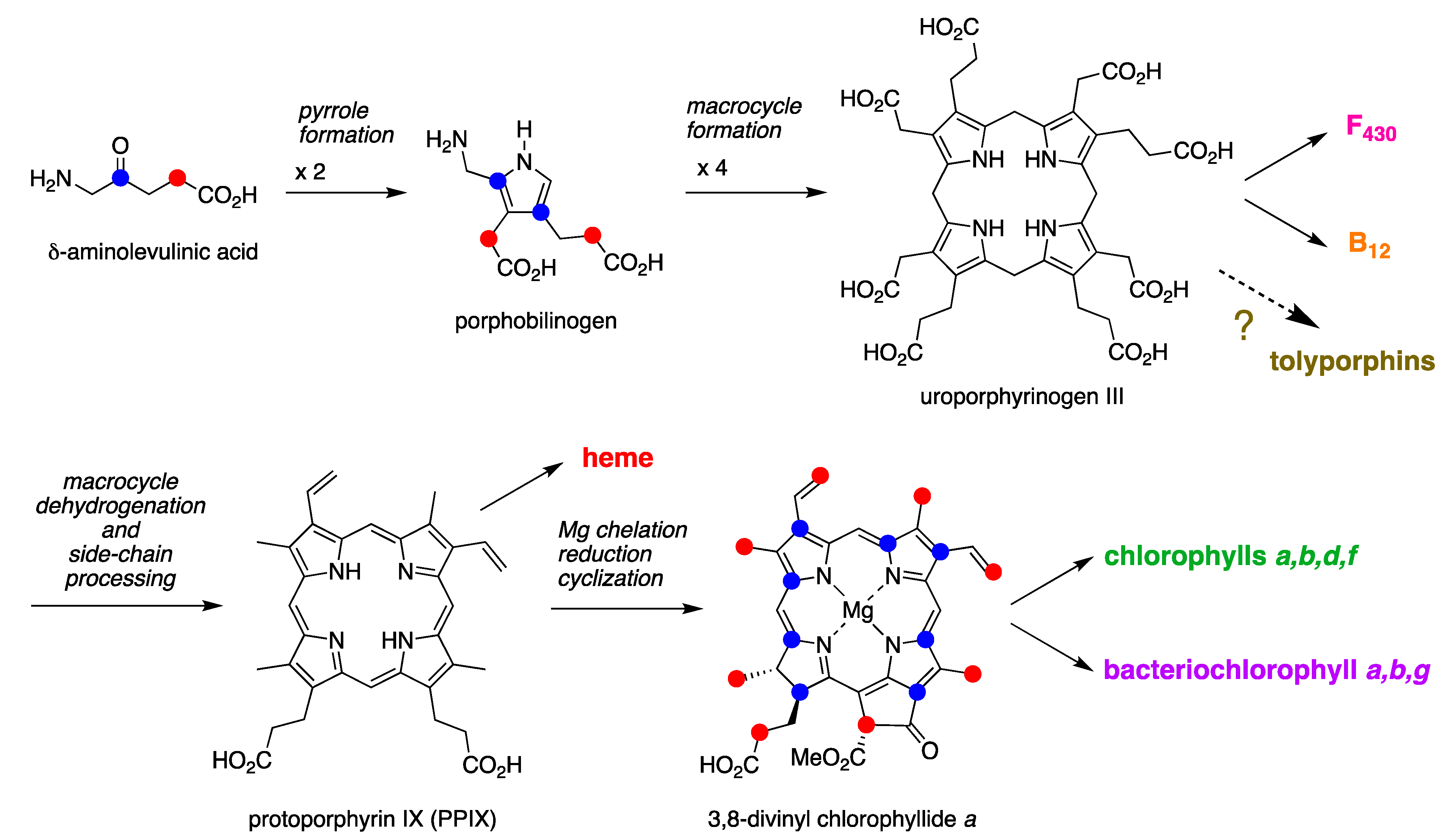 Molecules 28 06132 g011