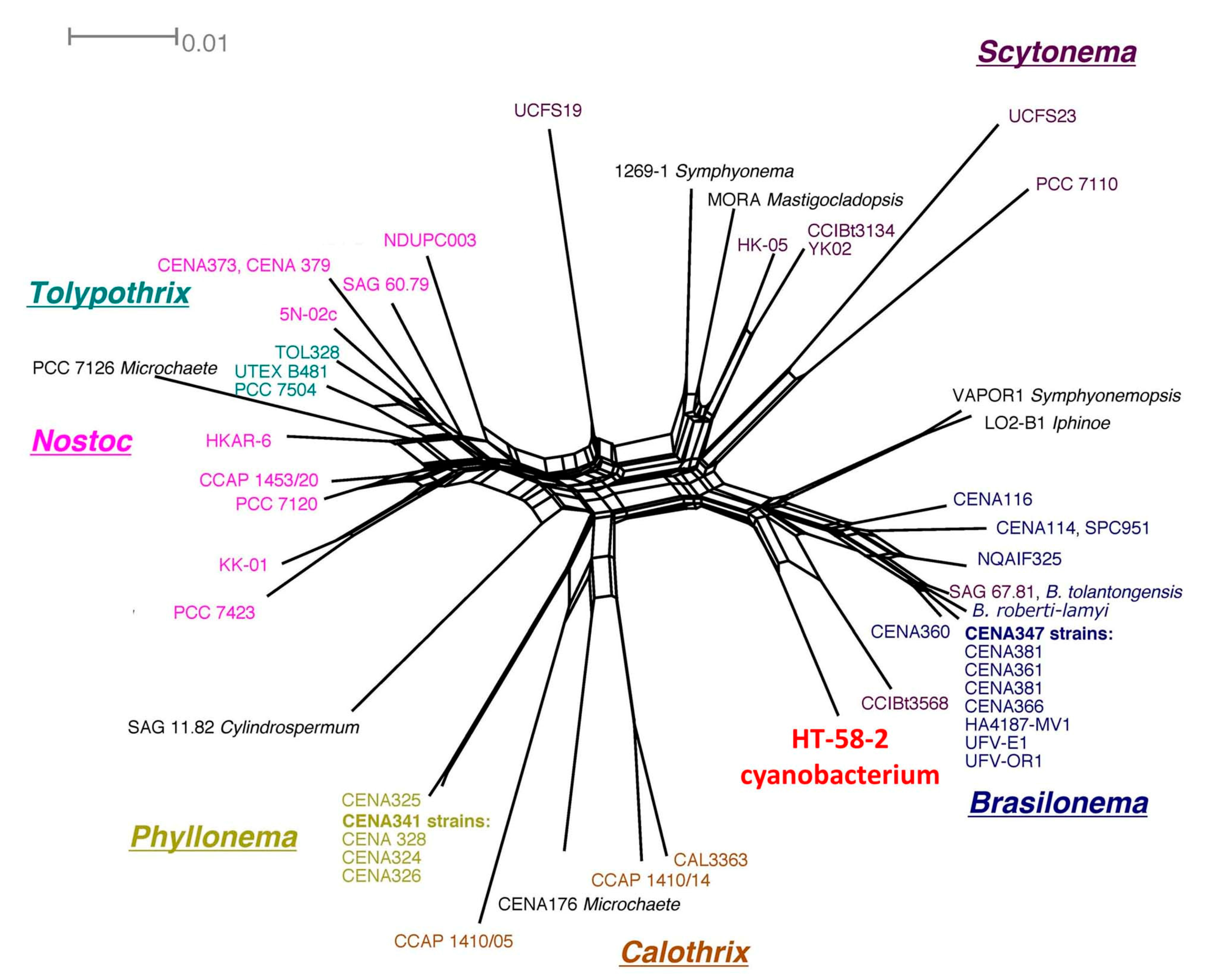 Molecules 28 06132 g016