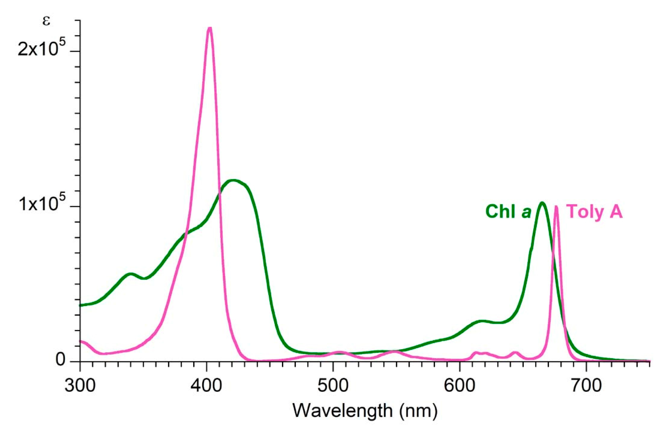 Molecules 28 06132 g022