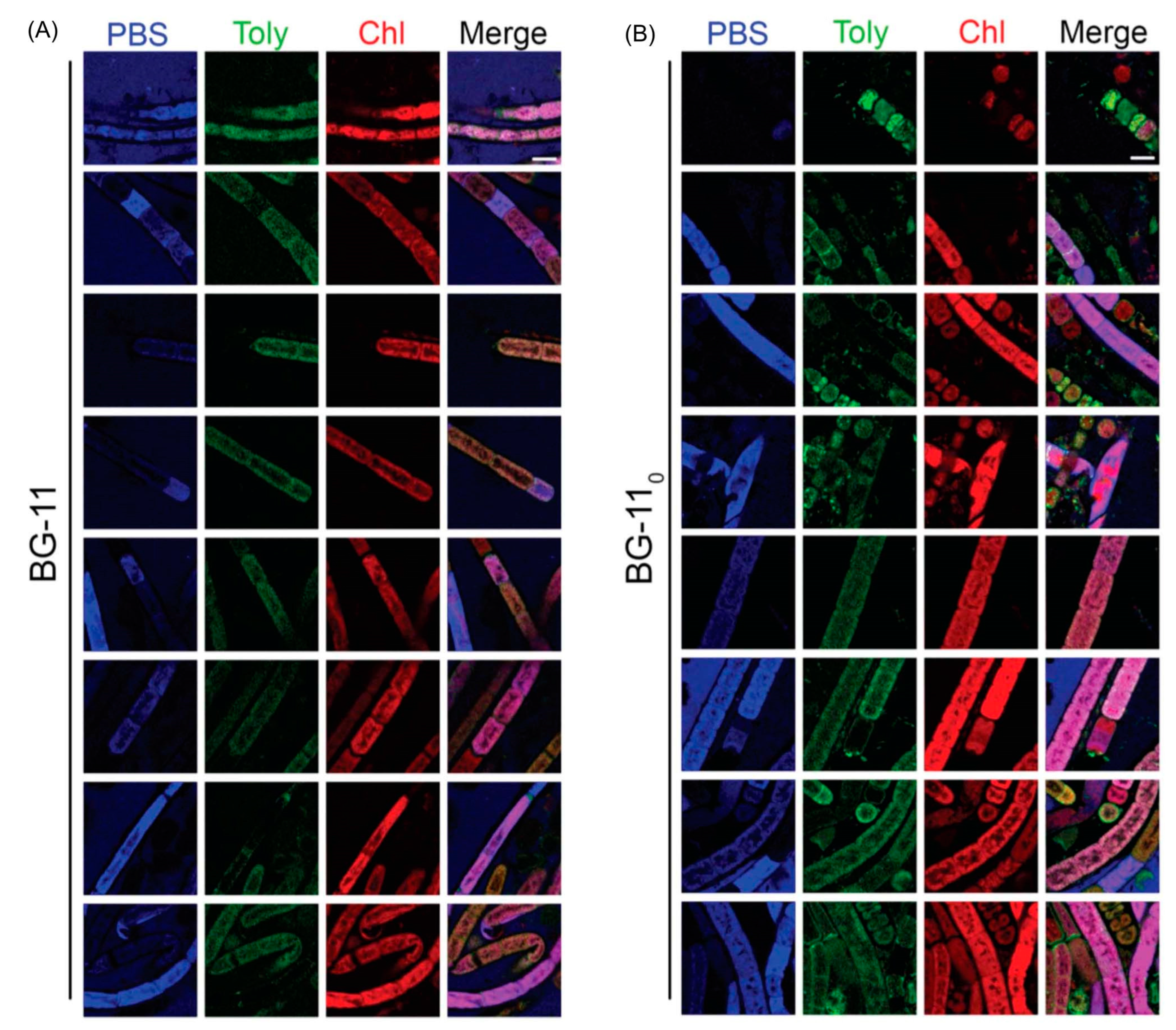 Molecules 28 06132 g023