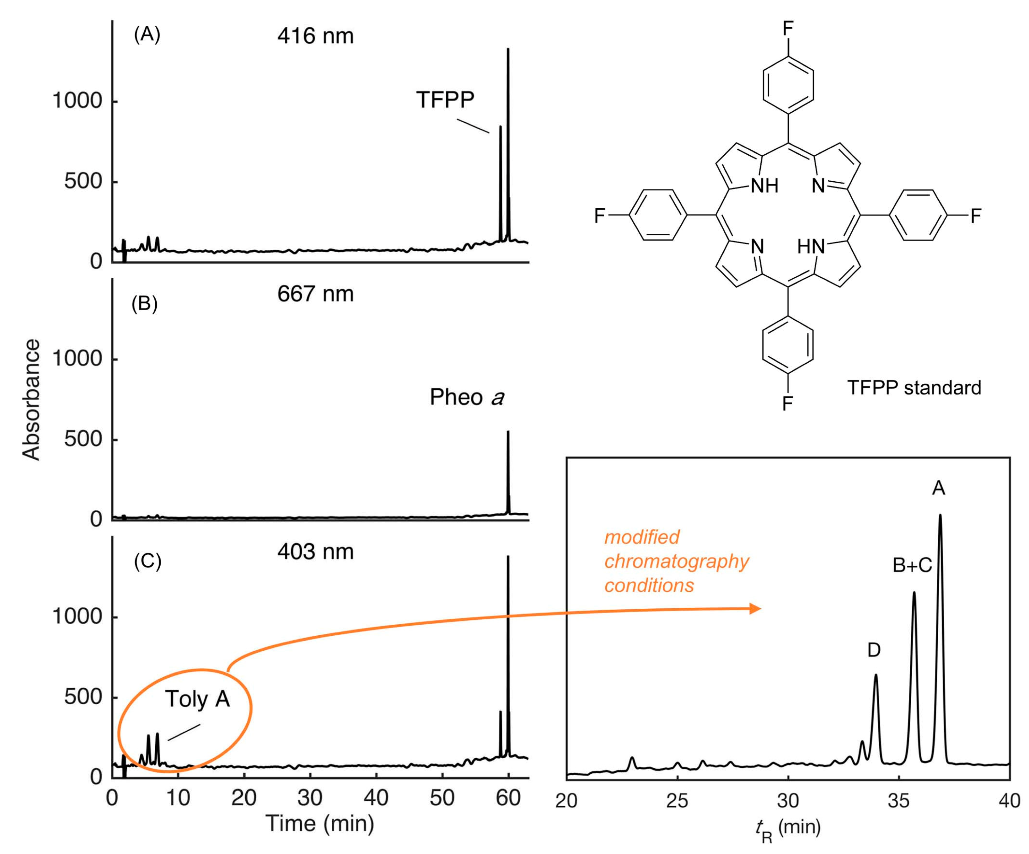 Molecules 28 06132 g031
