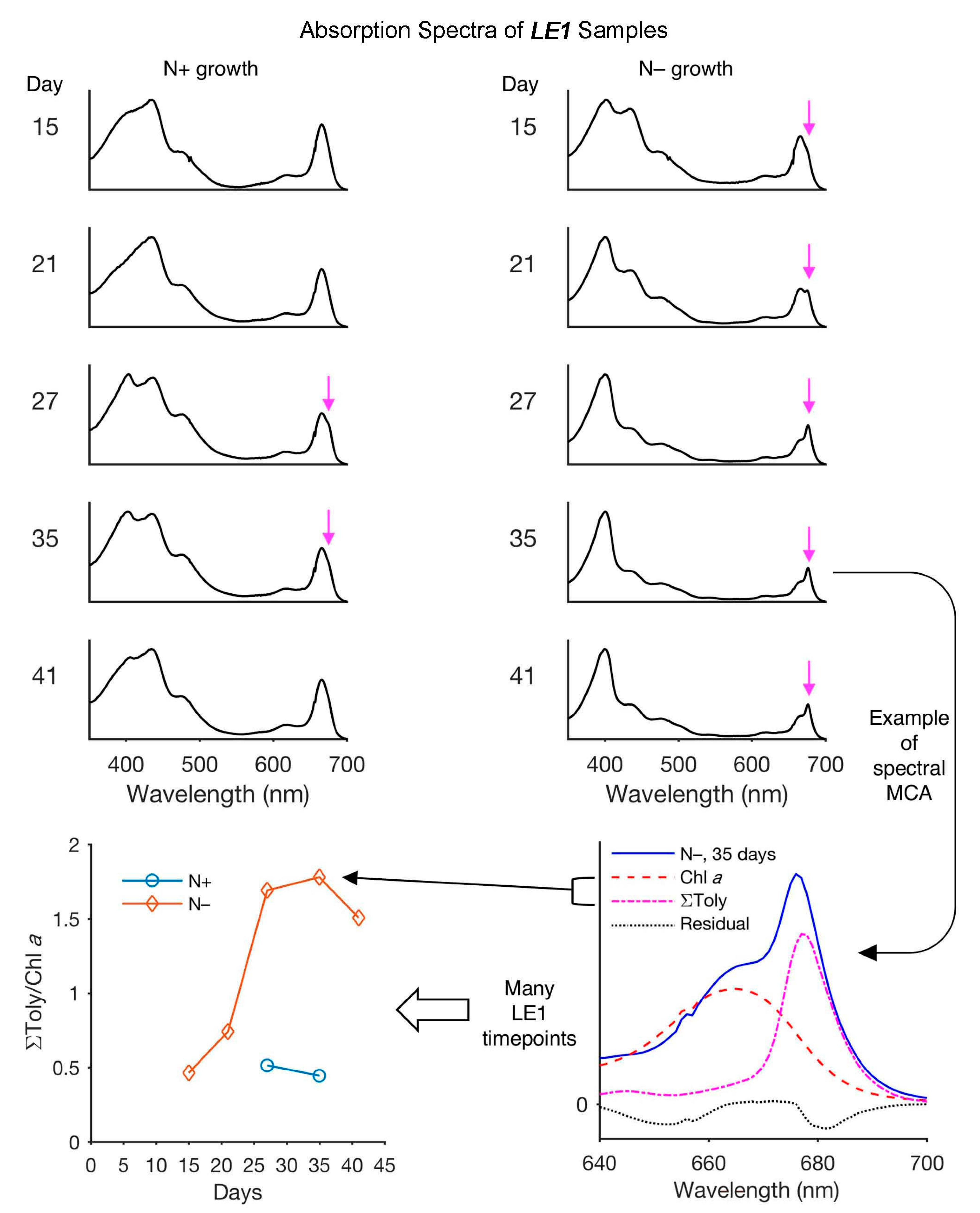 Molecules 28 06132 g035