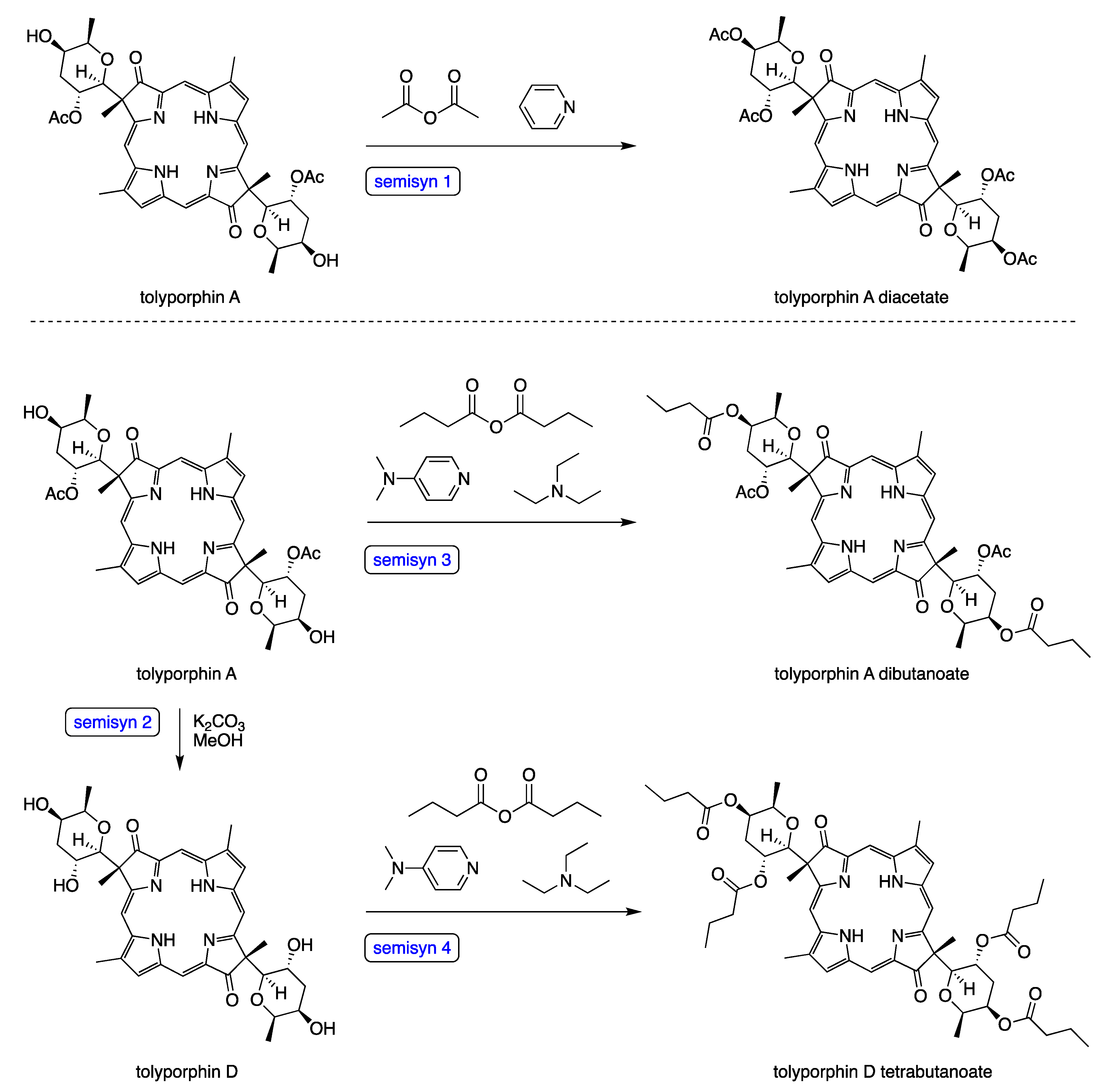Molecules 28 06132 g038