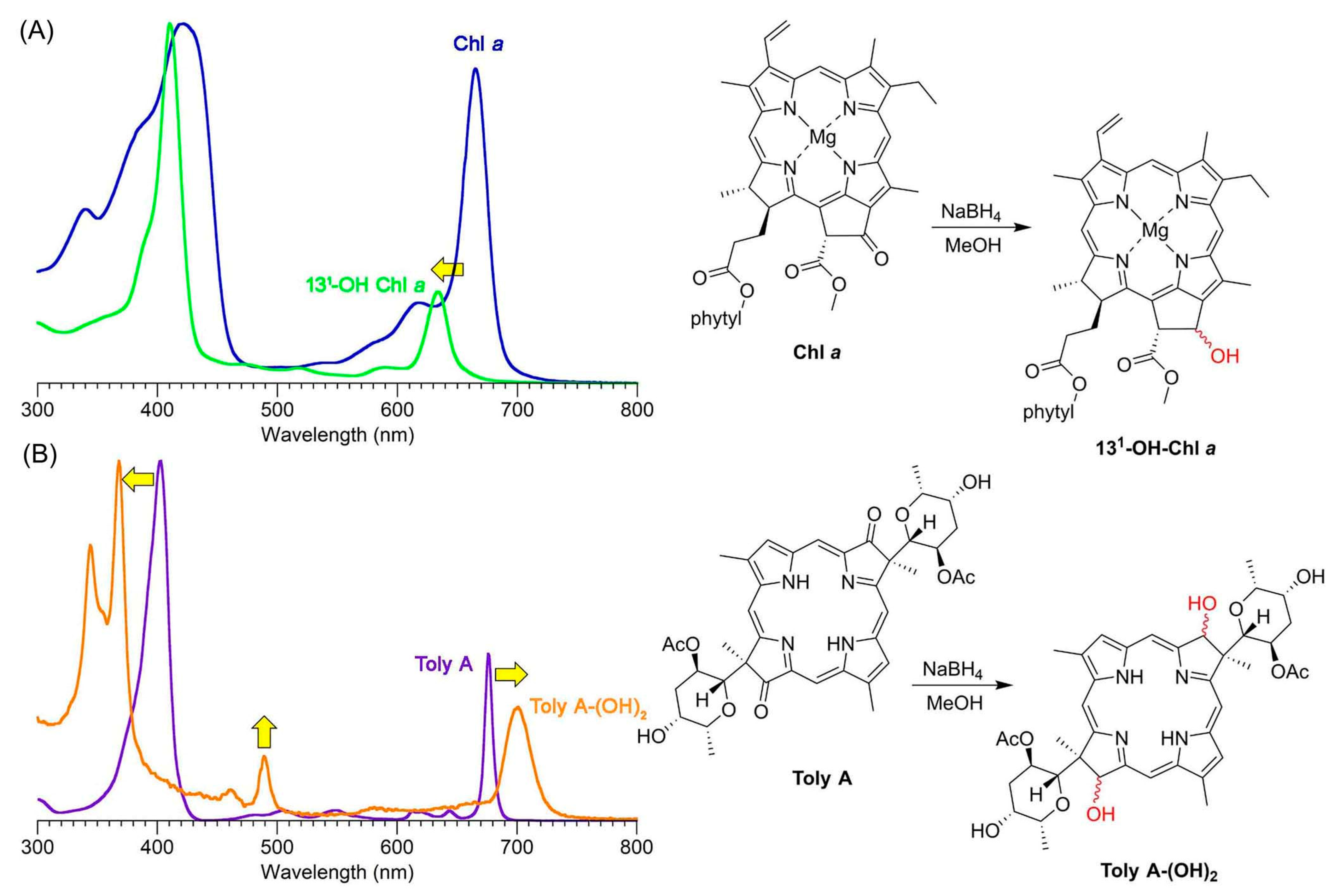 Molecules 28 06132 g045