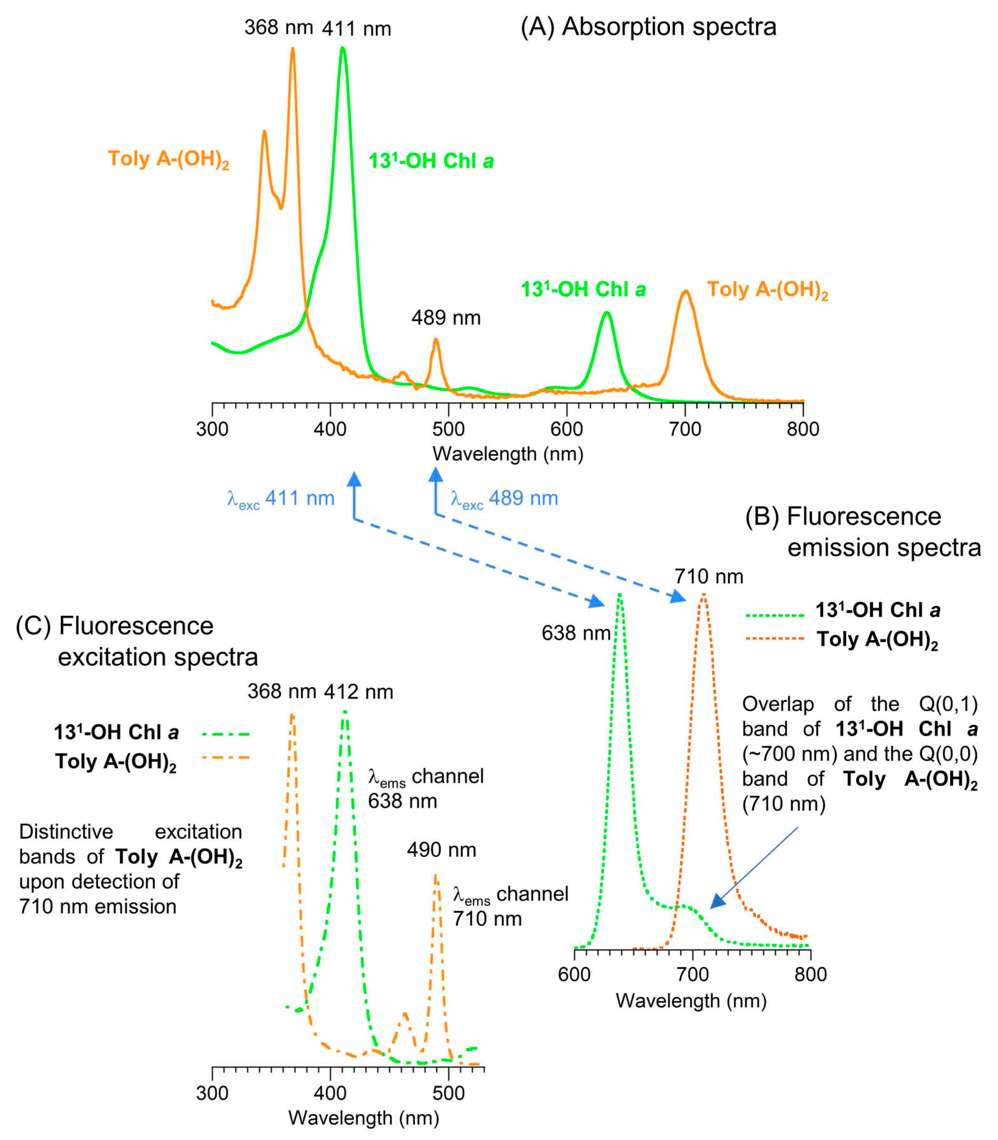 Molecules 28 06132 g046