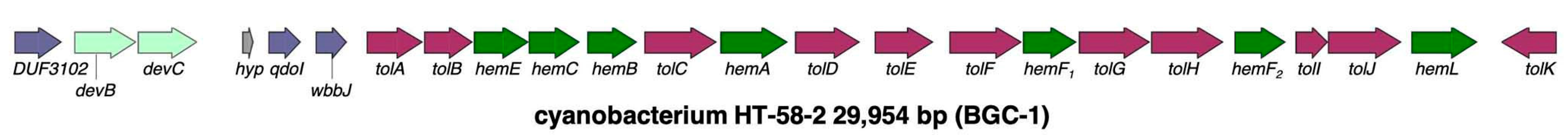 Molecules 28 06132 g050