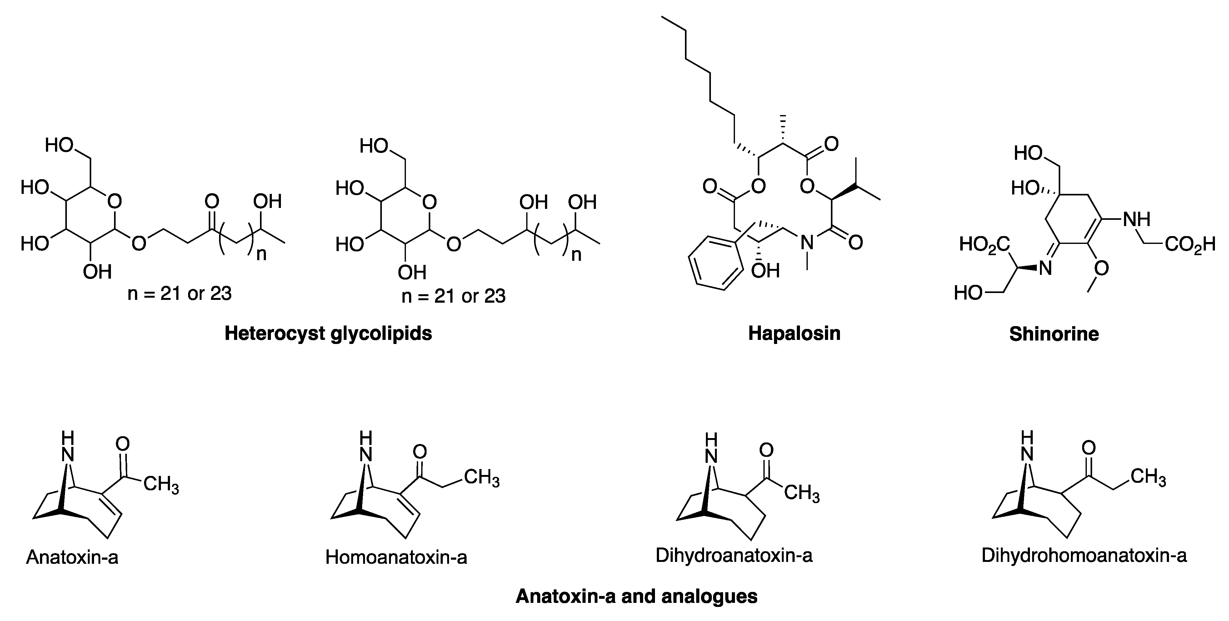 Molecules 28 06132 g052