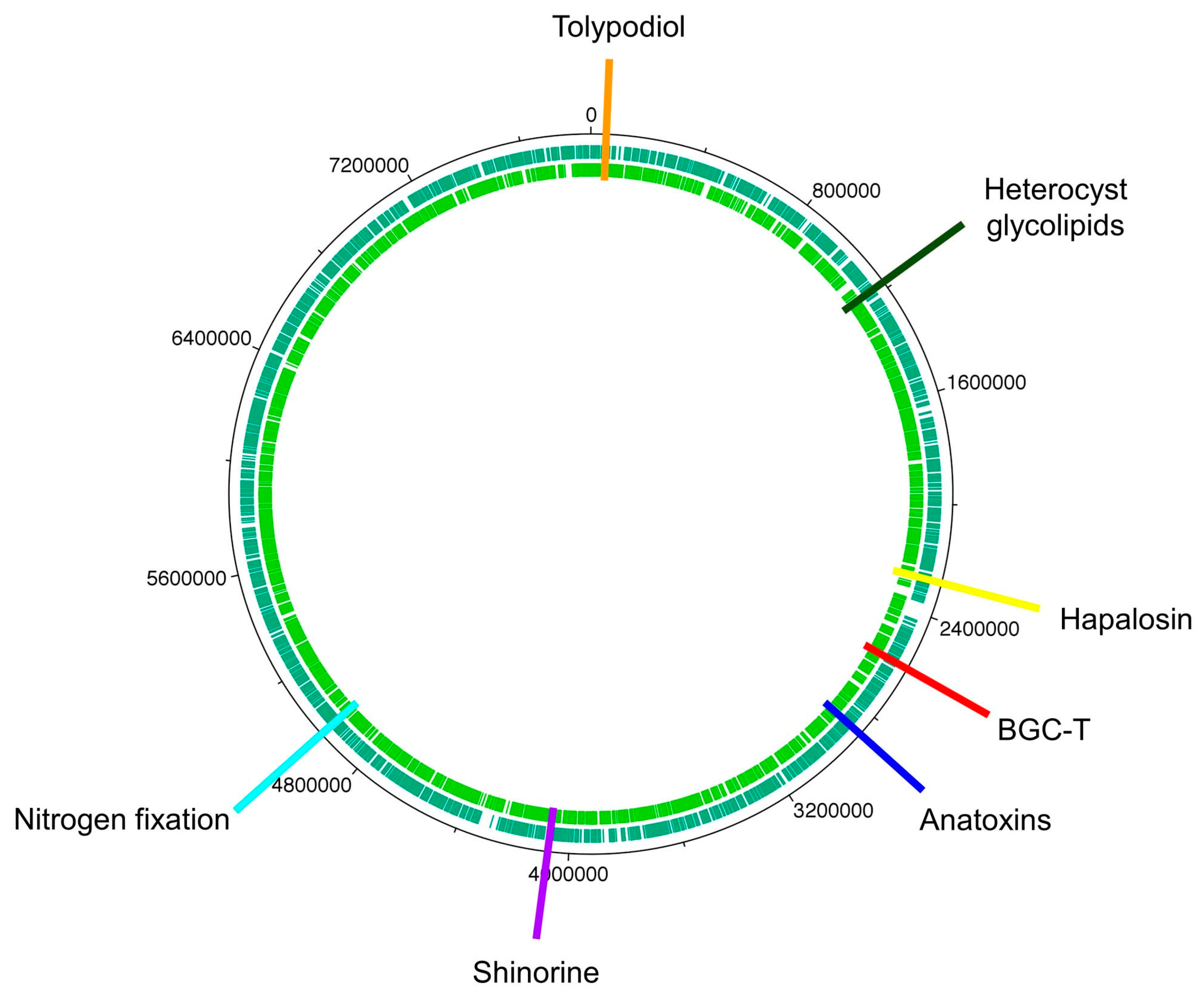 Molecules 28 06132 g053