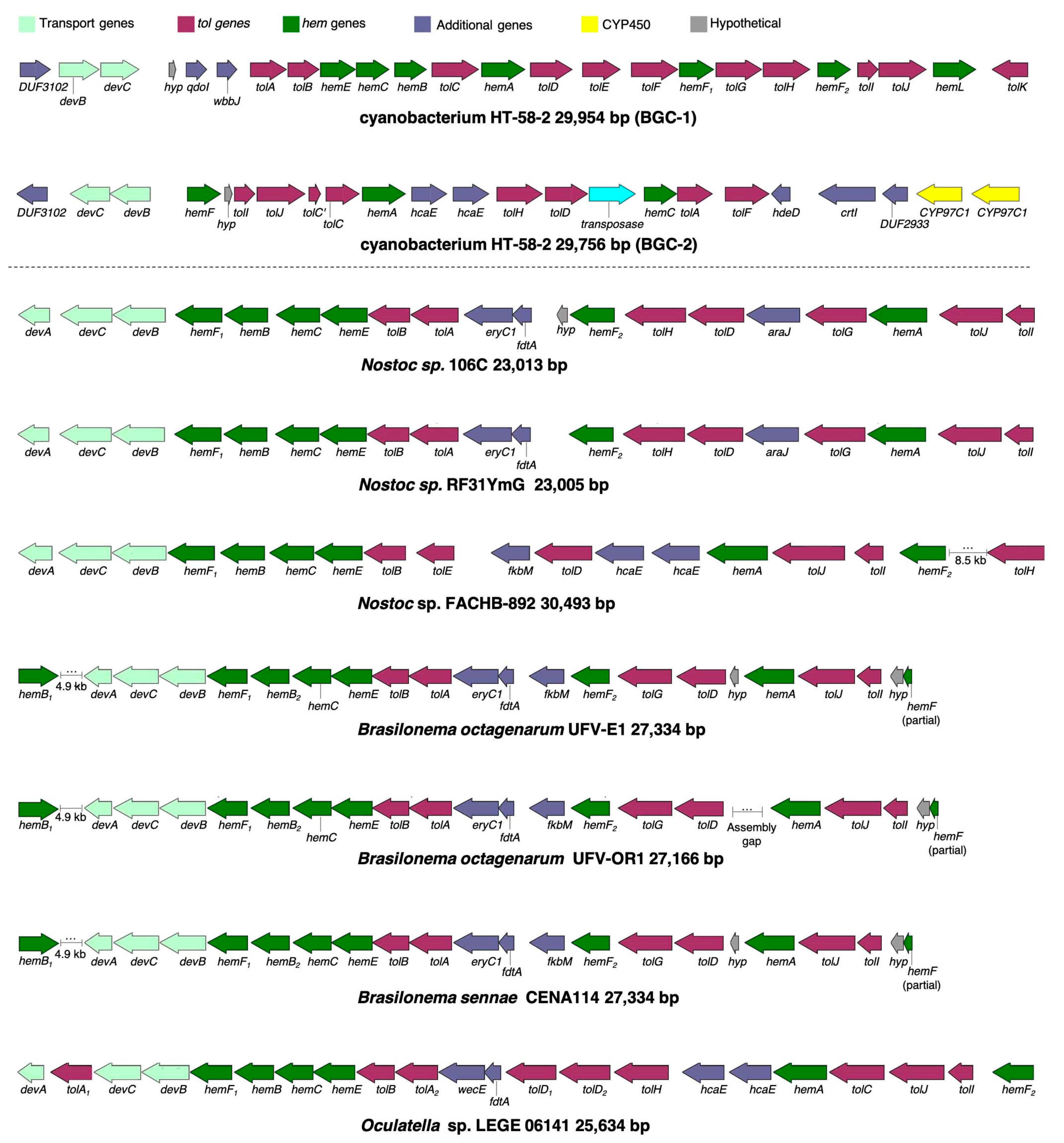 Molecules 28 06132 g054