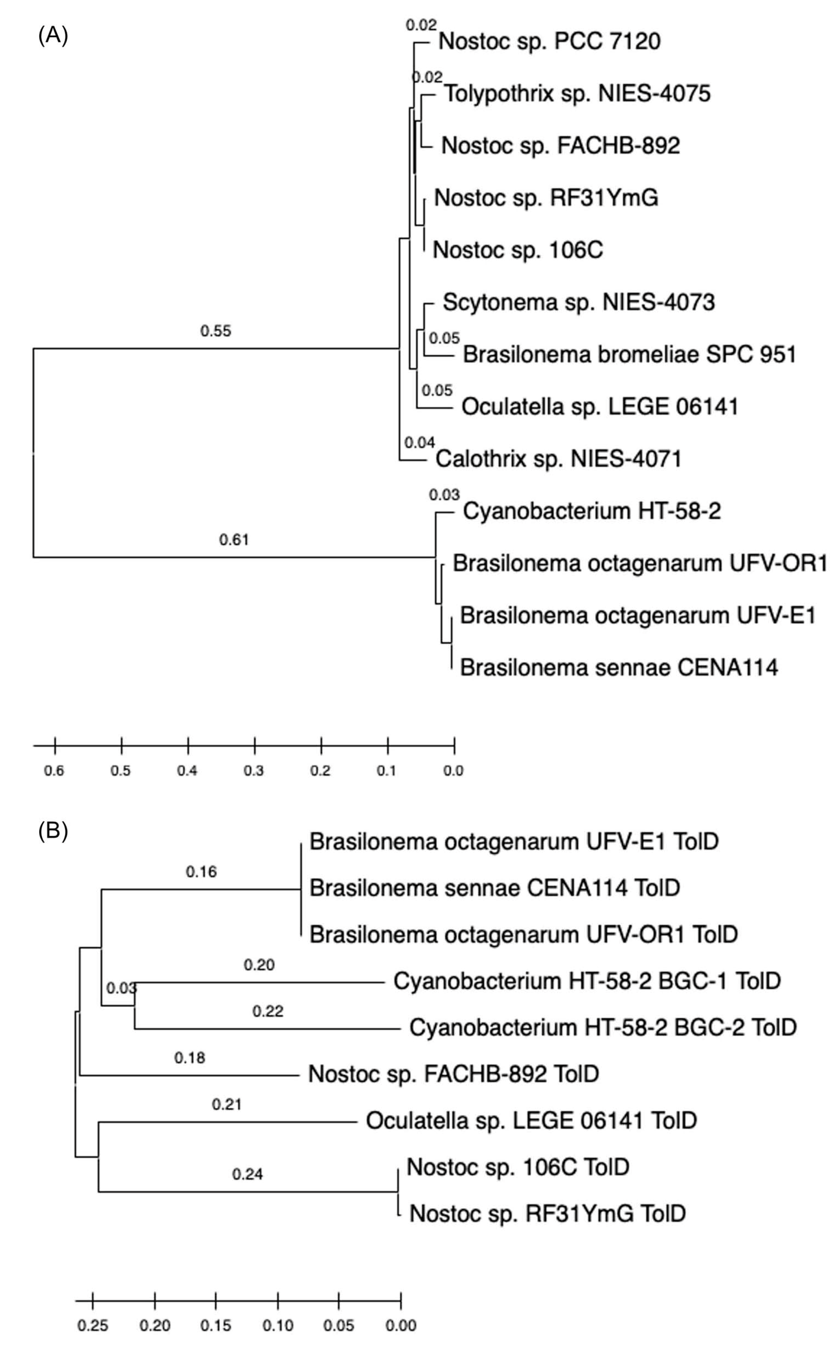 Molecules 28 06132 g055