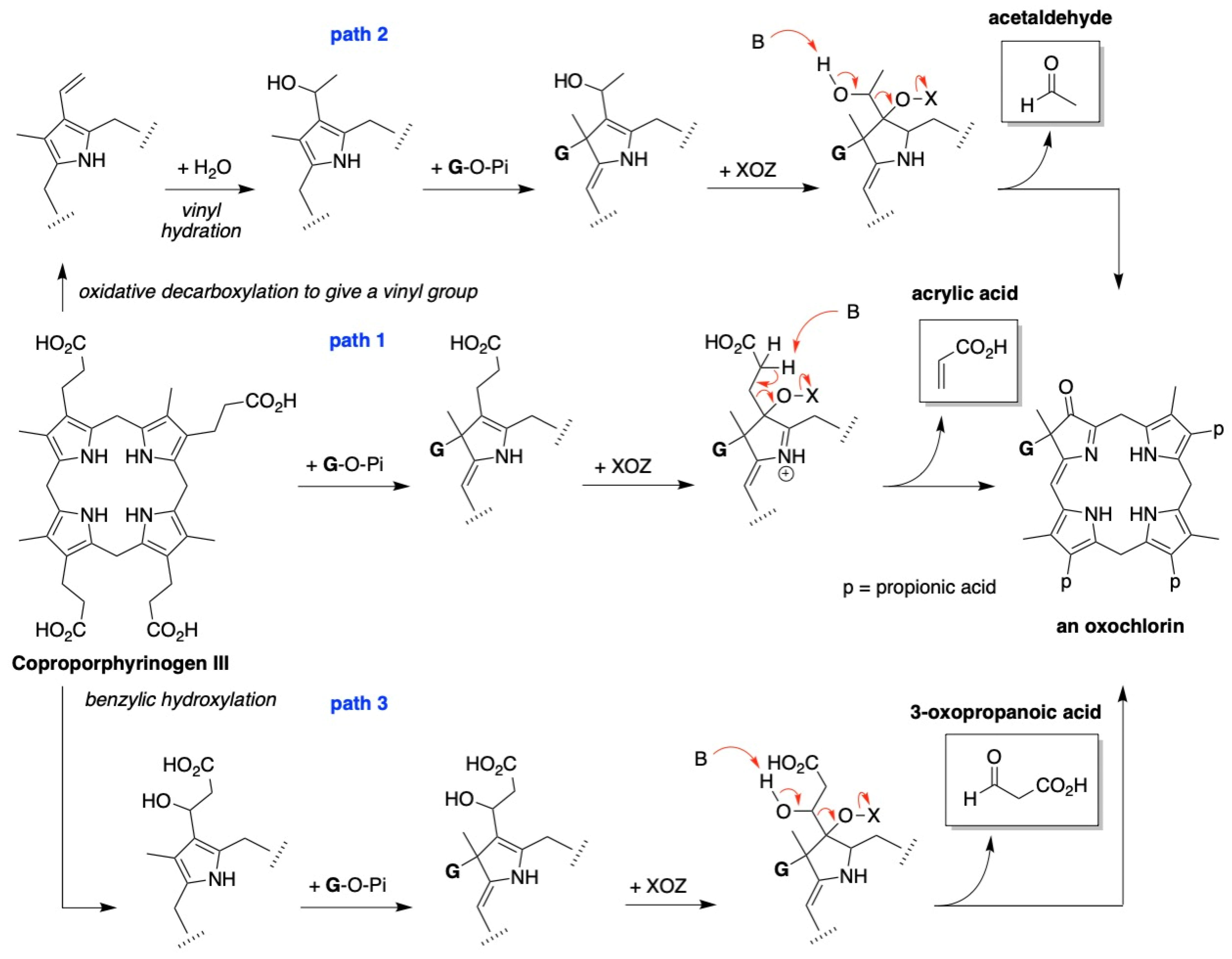Molecules 28 06132 g057