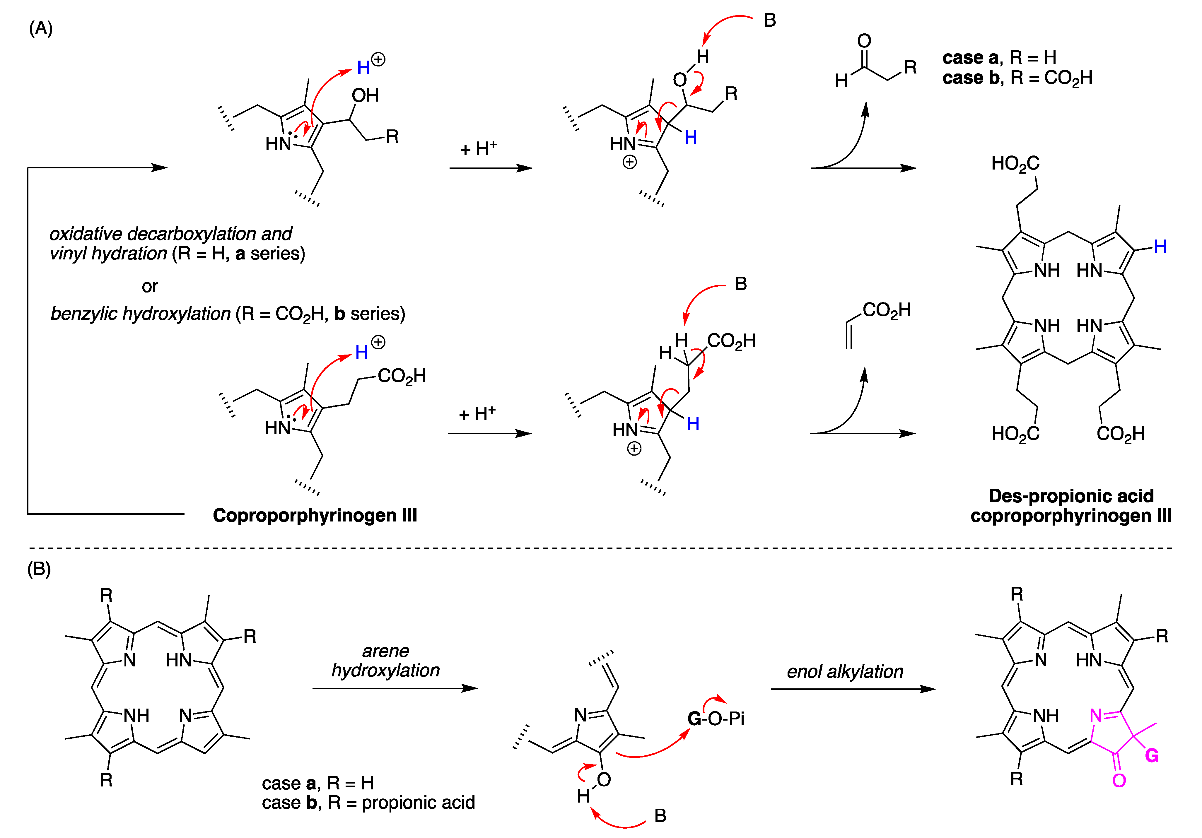 Molecules 28 06132 g058