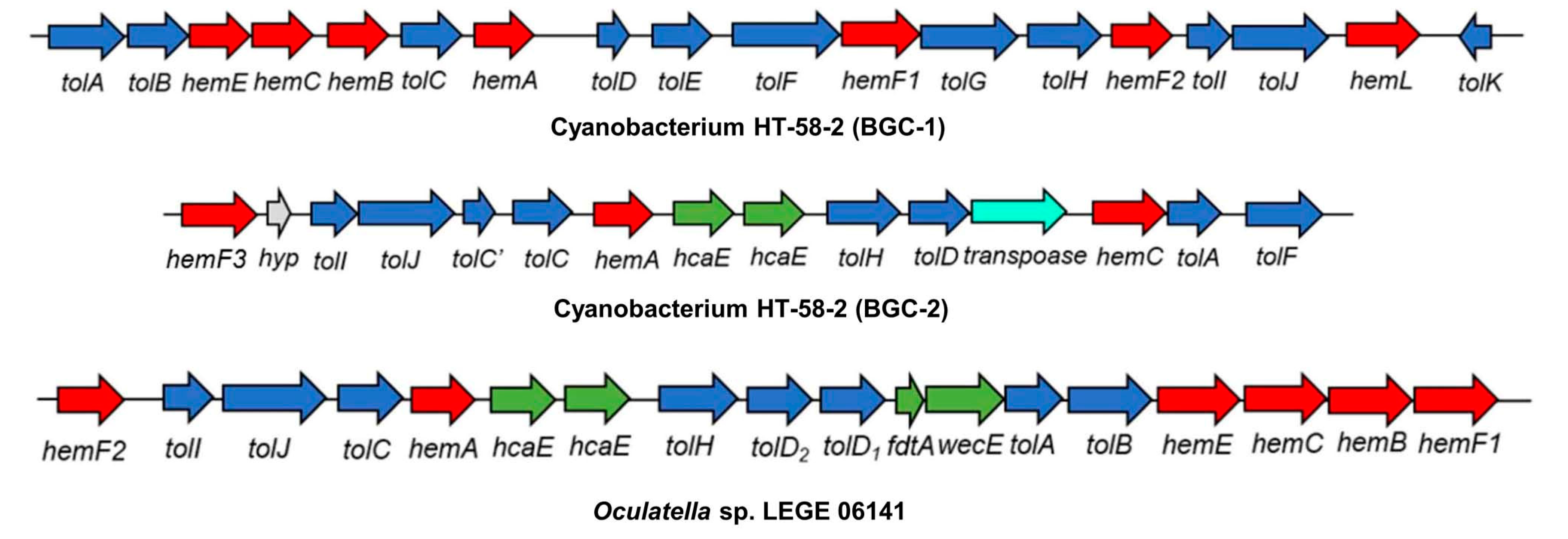 Molecules 28 06132 g060