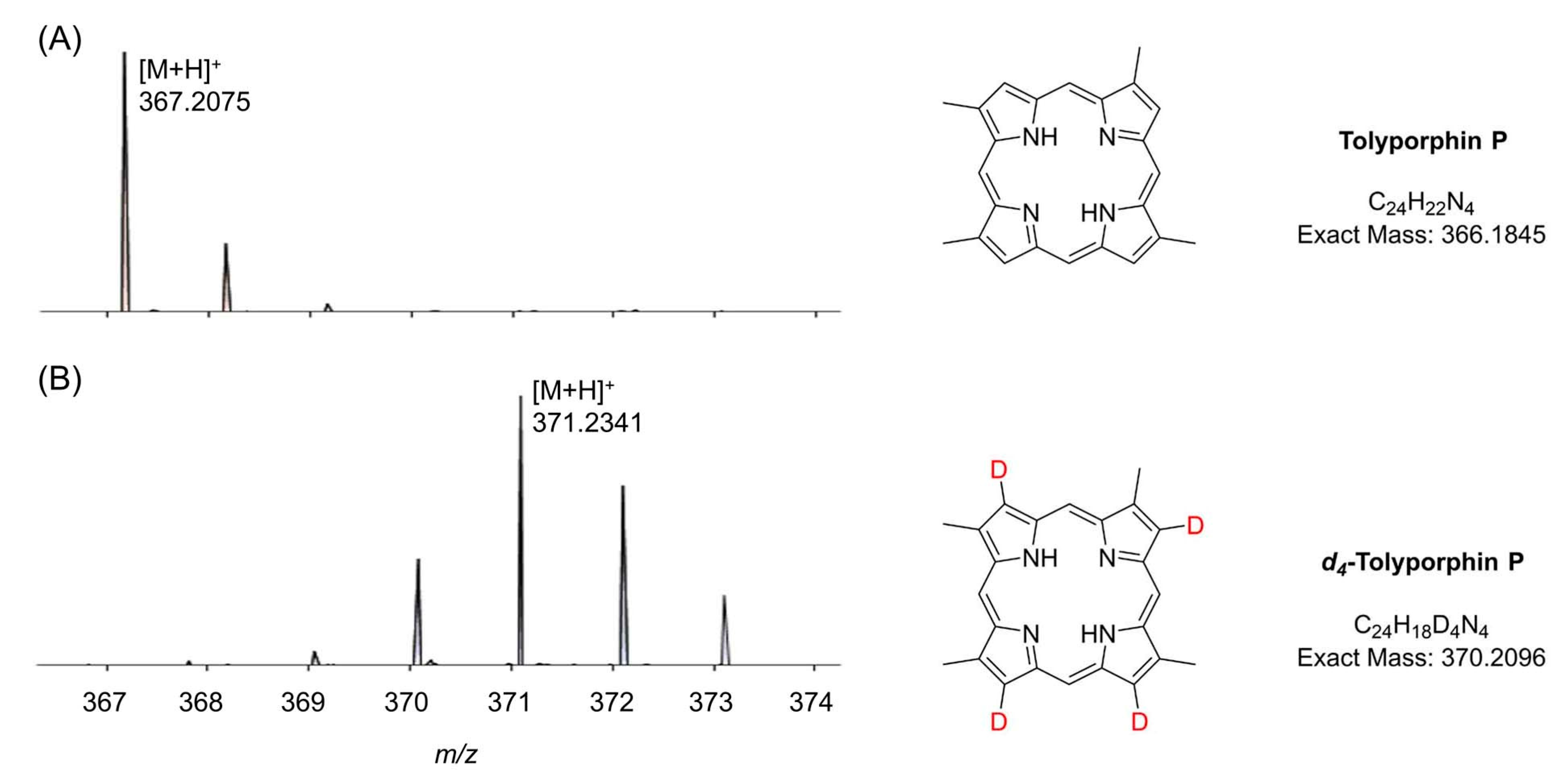 Molecules 28 06132 g062