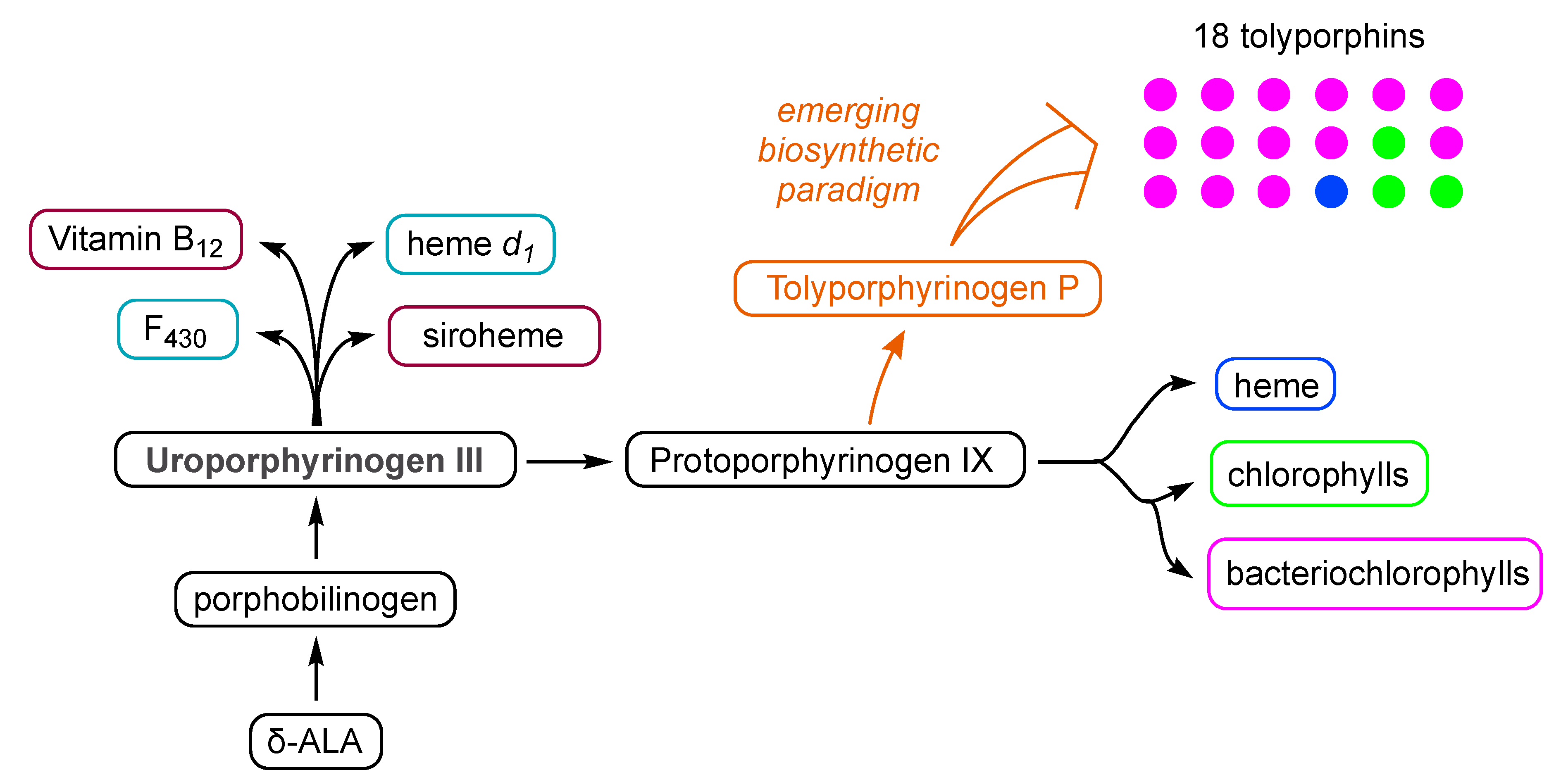 Molecules 28 06132 g064