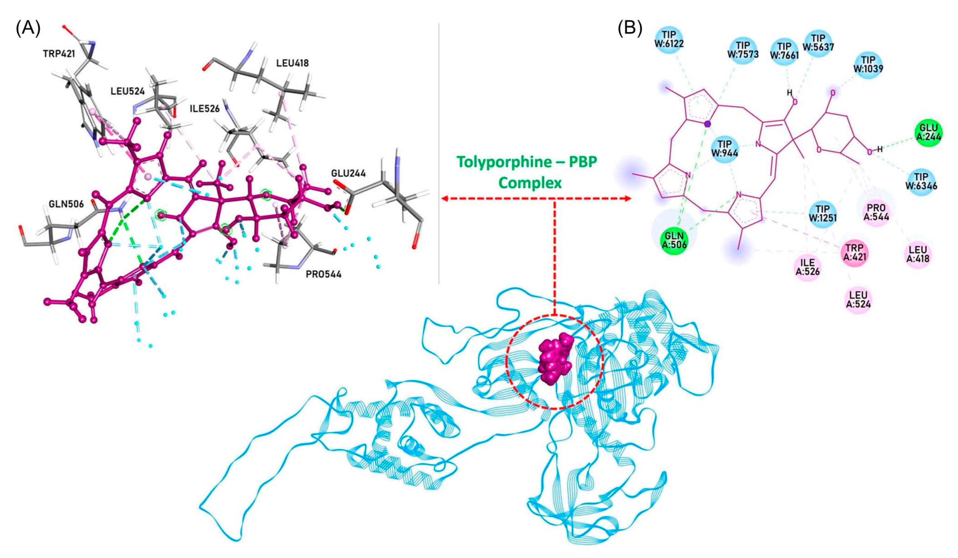 Molecules 28 06132 g065